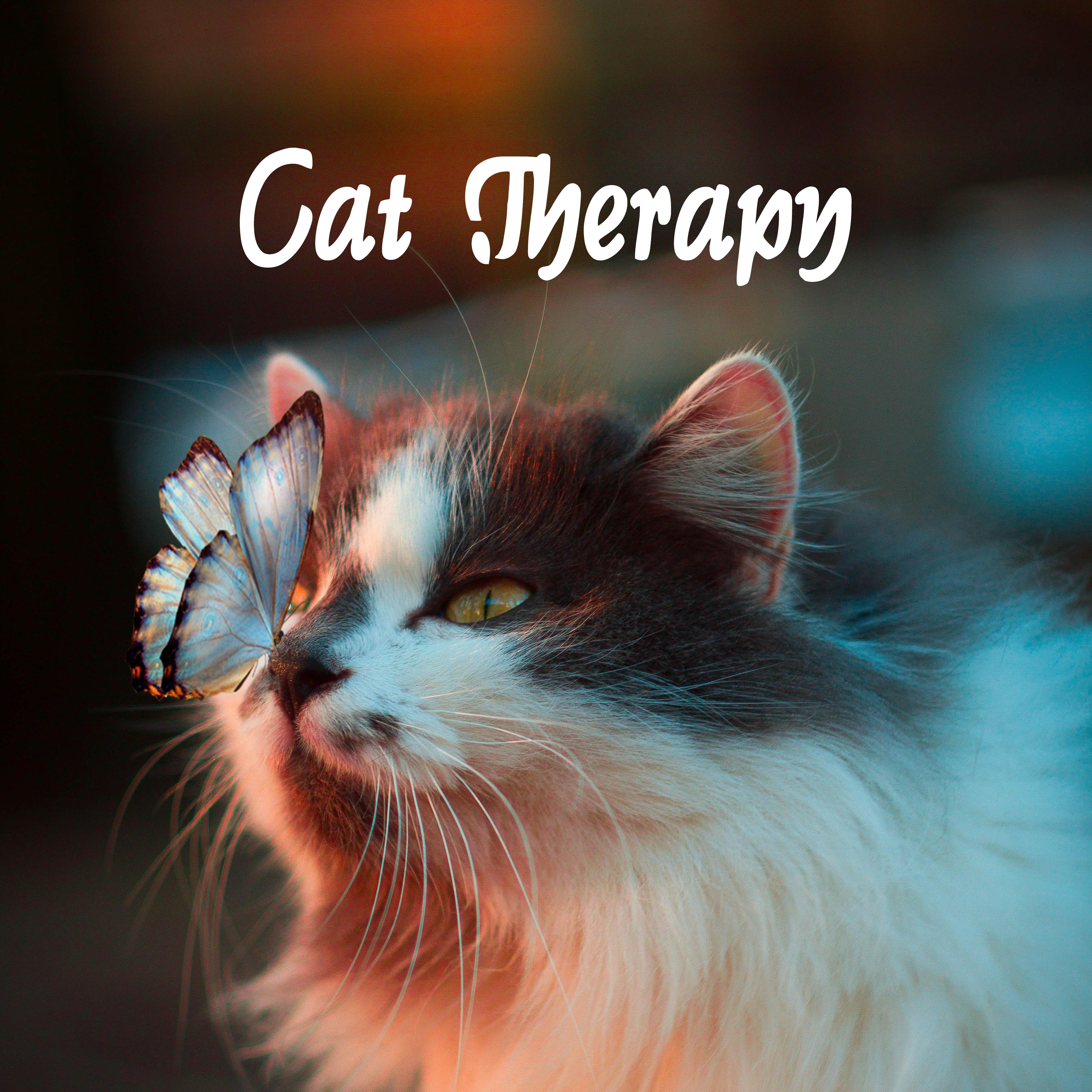 Cat Therapy: Gentle Music Subconsciously Sharpening Cat Hunting Instincts, at the Same Time Deeply Relaxing and Stress Relieving Your Pet