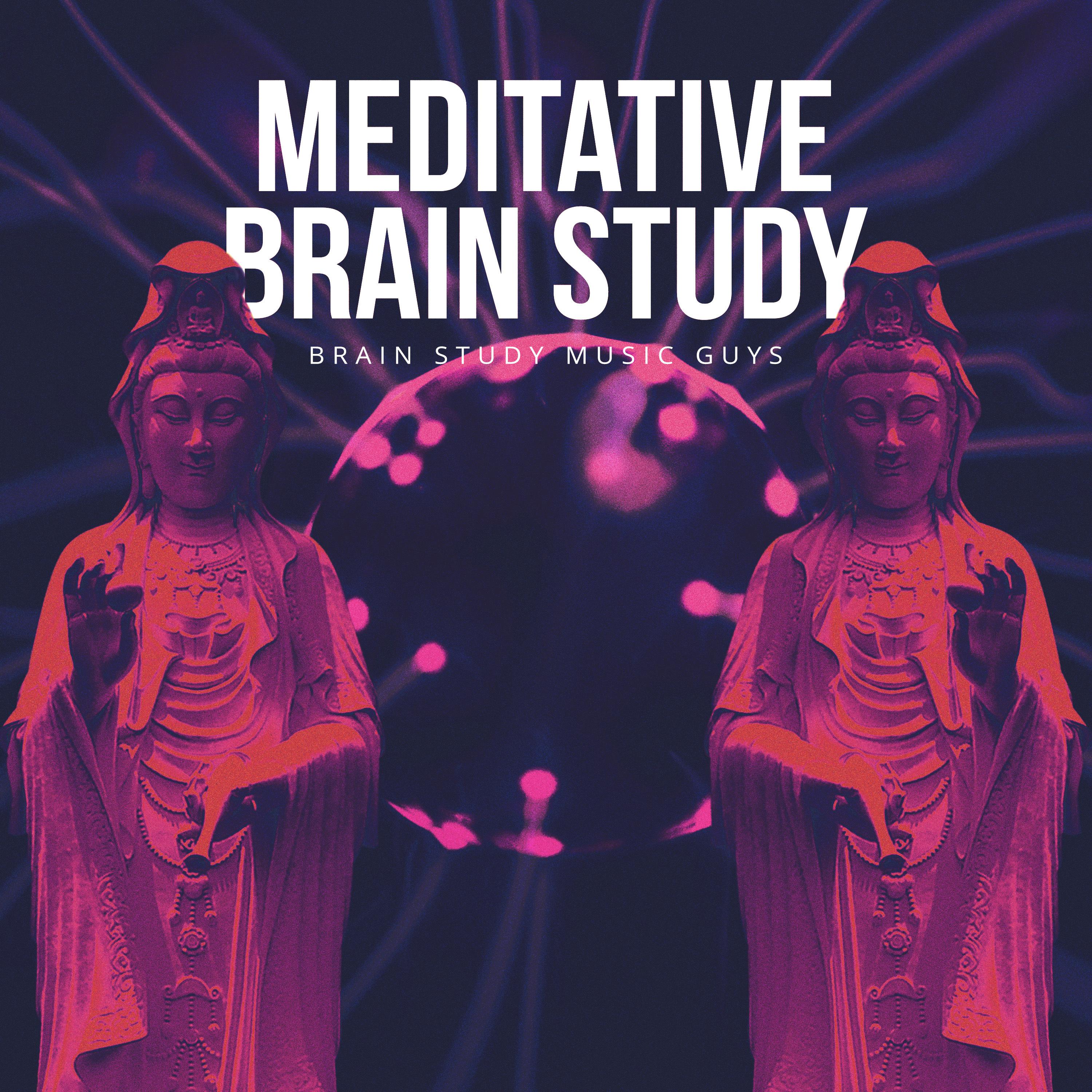 Meditative Brain Study
