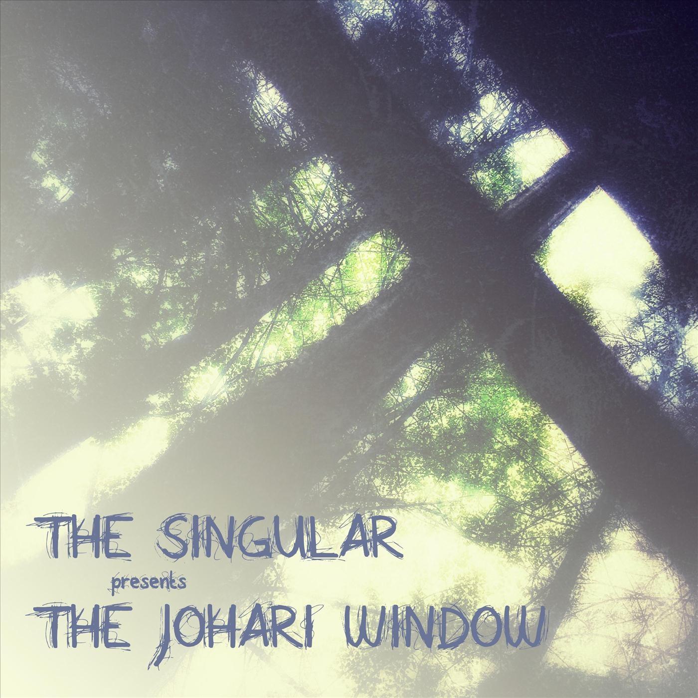 The Johari Window