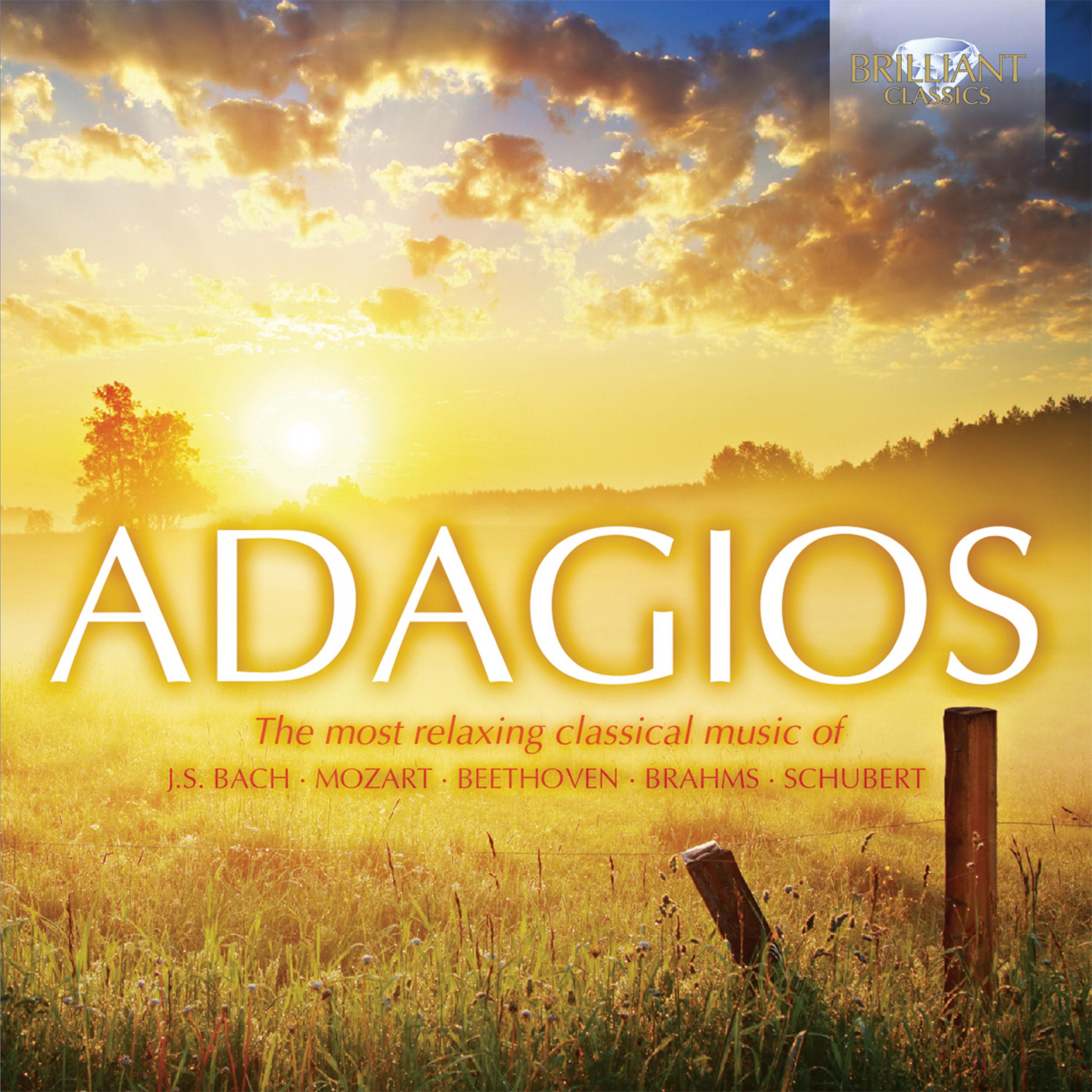 I. Adagio - Allegro molto