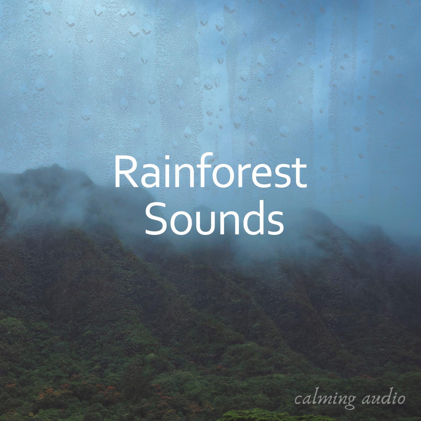 Rainforest Sounds, Pt. 01