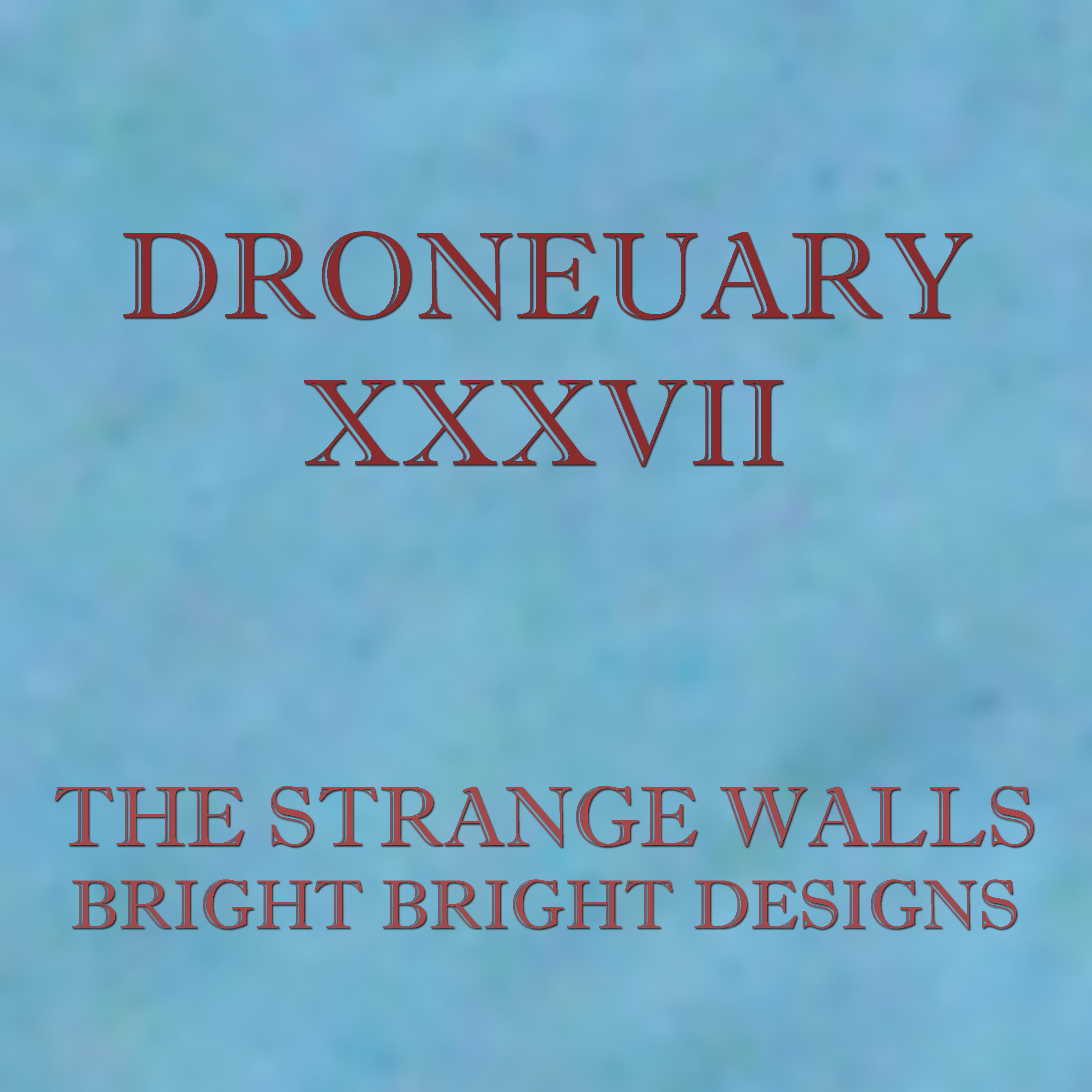 Droneuary XXXVII - Bright Bright Designs