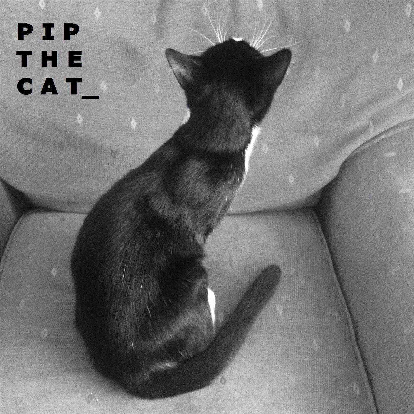 Pip the Cat