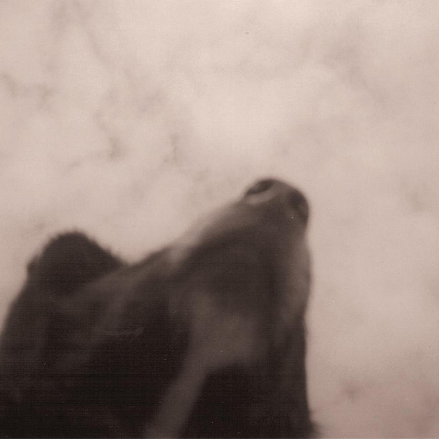 Forever In These Arms