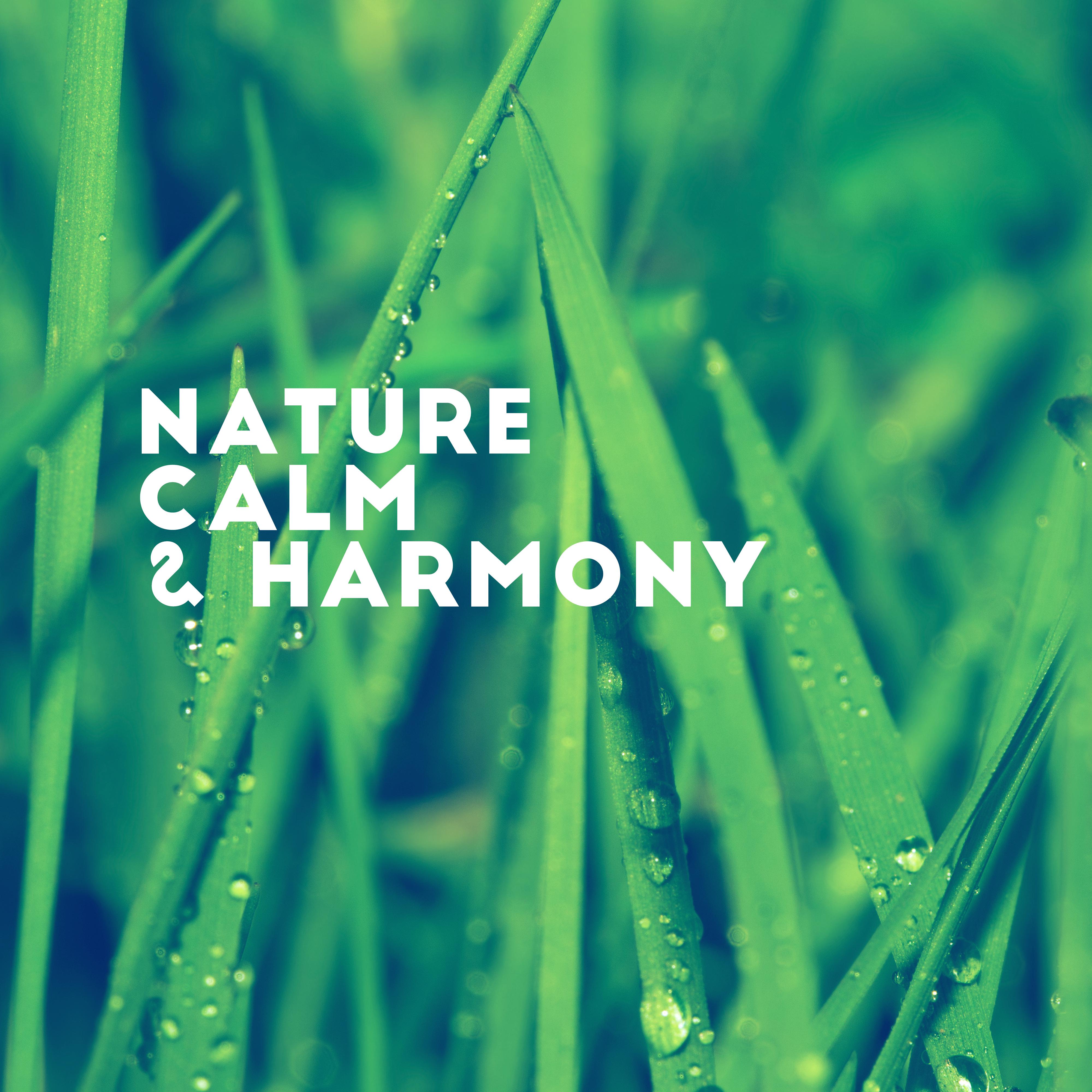 Nature Calm & Harmony: 2019 Most Relaxing Nature New Age Music, Soothing Piano Melodies, Sounds of Birds