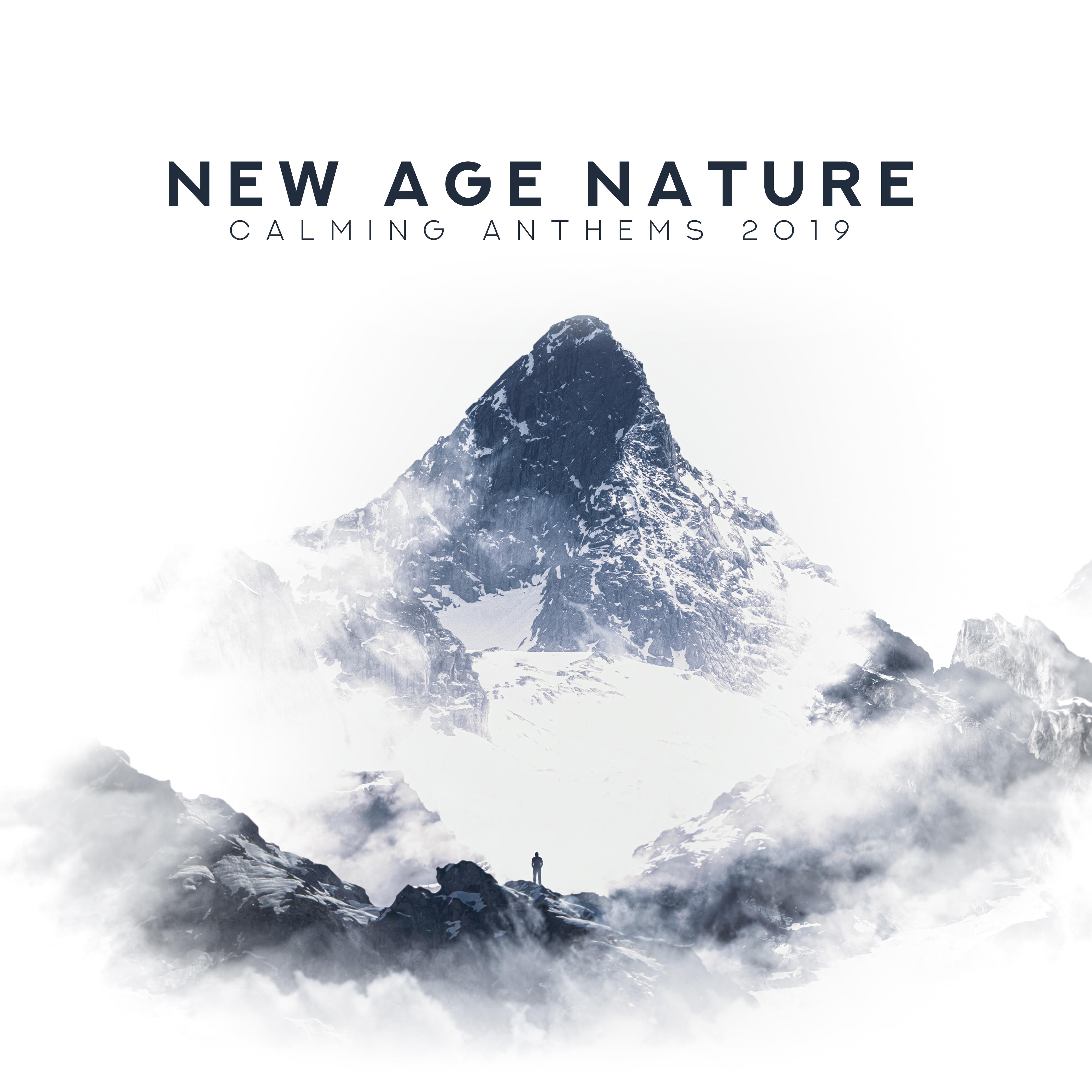 New Age Nature Calming Anthems 2019: Top Relaxation Music, Soothing Piano Melodies & Sounds of Birds, Forest, Water & Many More