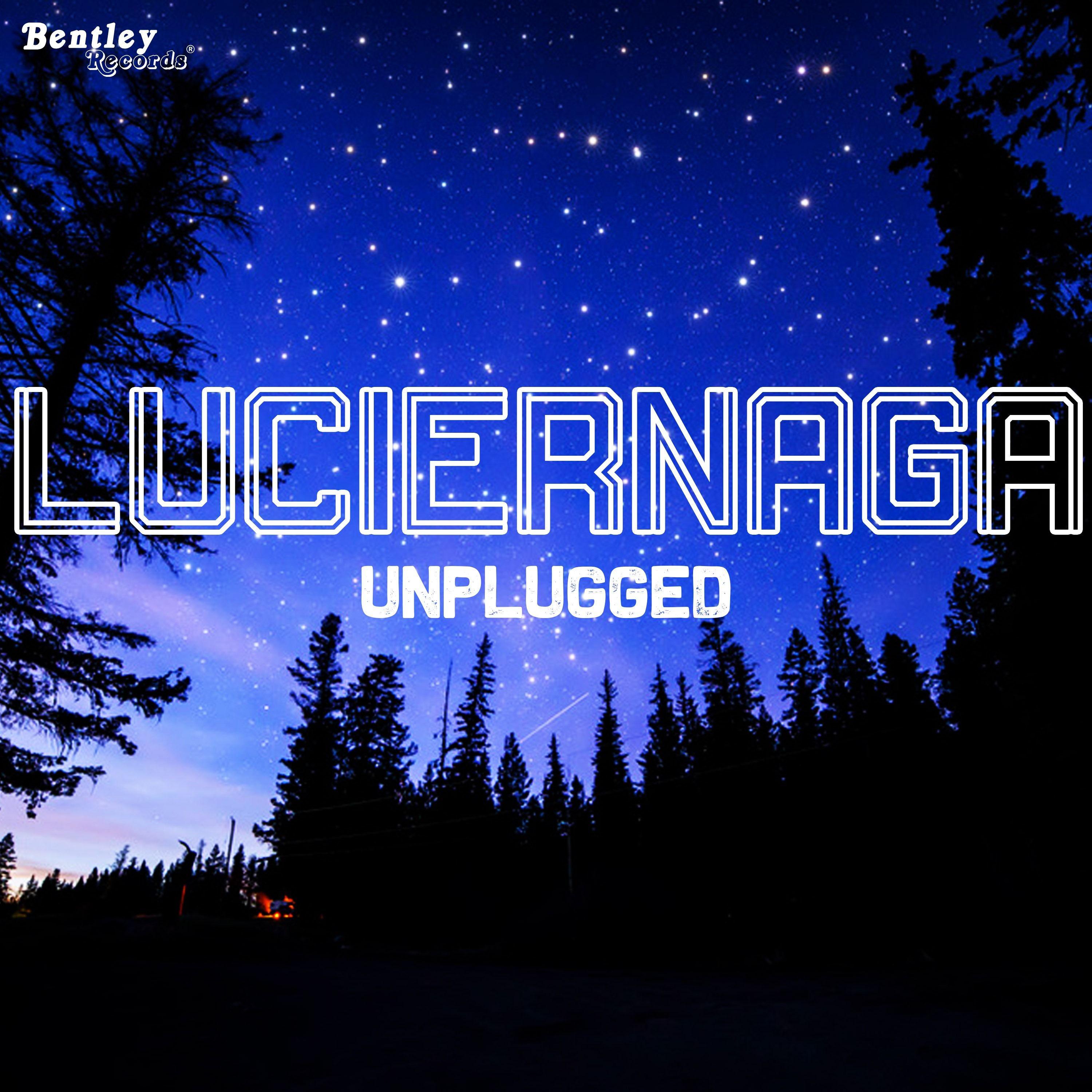 Luciernaga