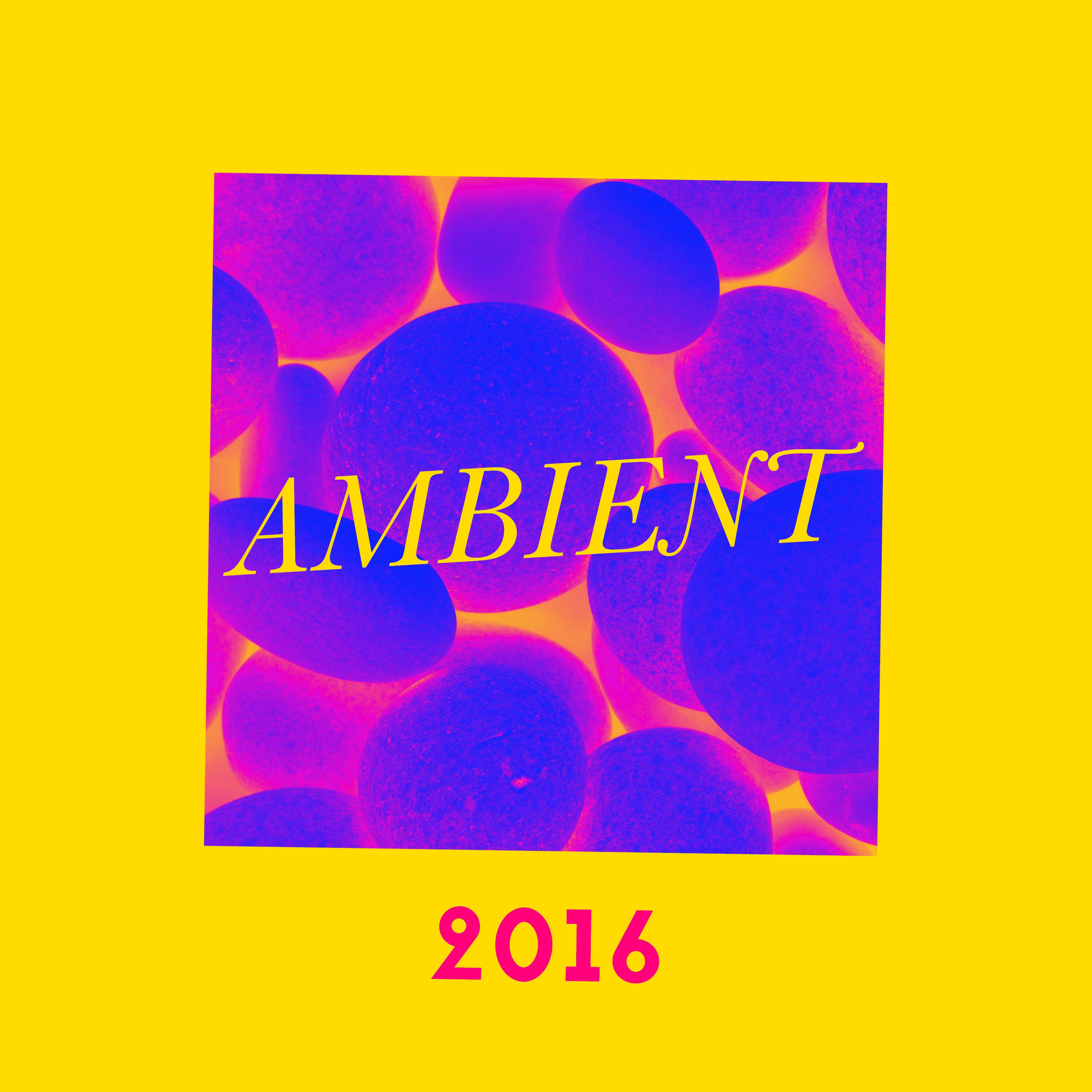 Ambient 2016