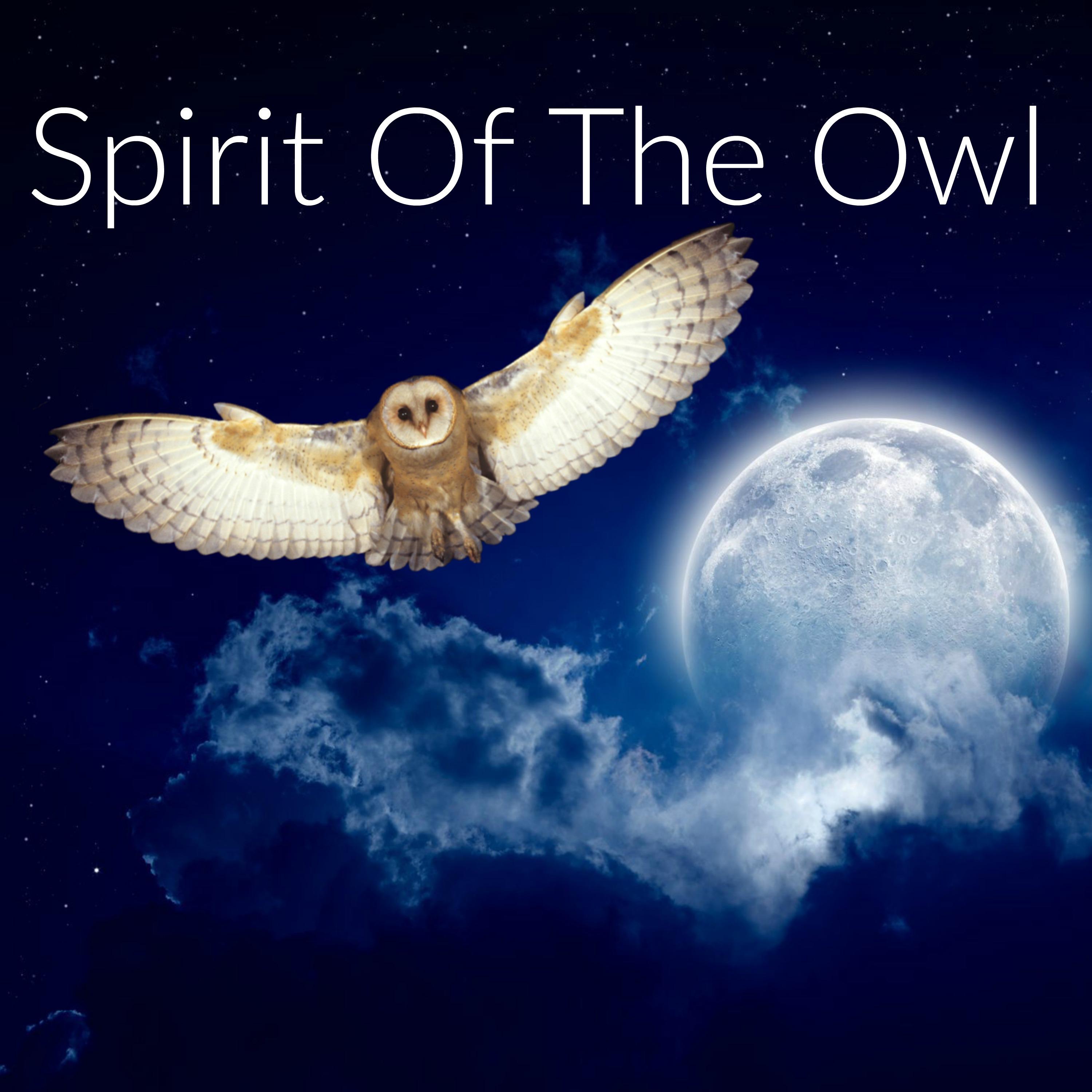 Spirit of the Owl