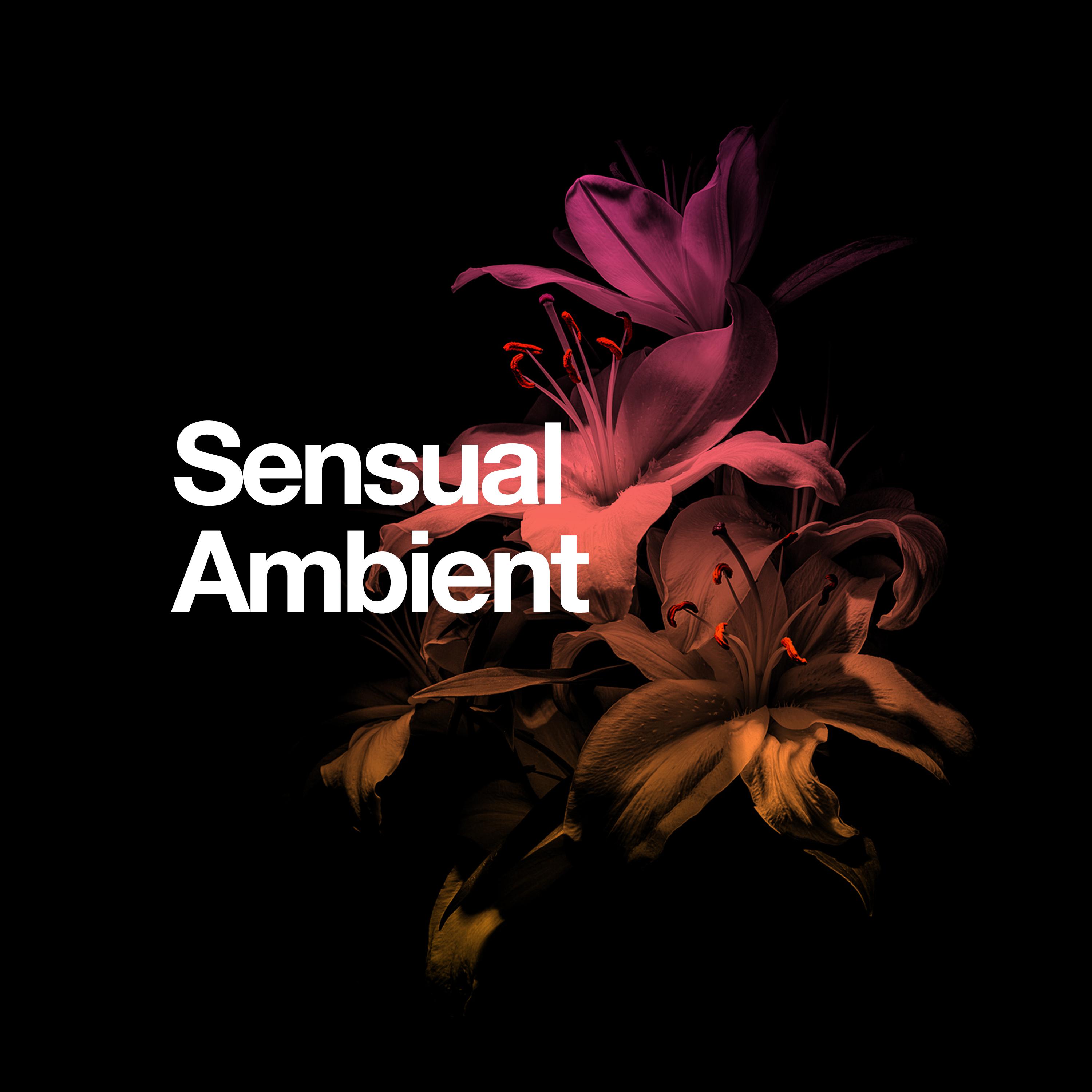 Sensual Ambient