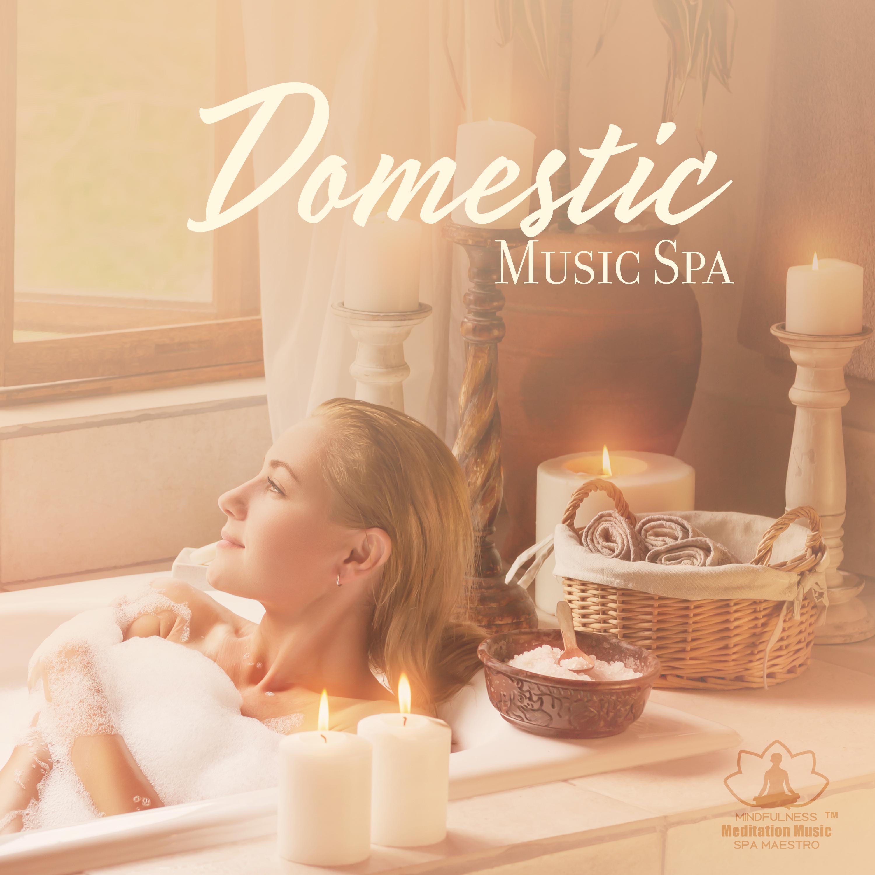 Domestic Music Spa - Salon curatif, Massage and spa music, Aromatherapy, Good condition