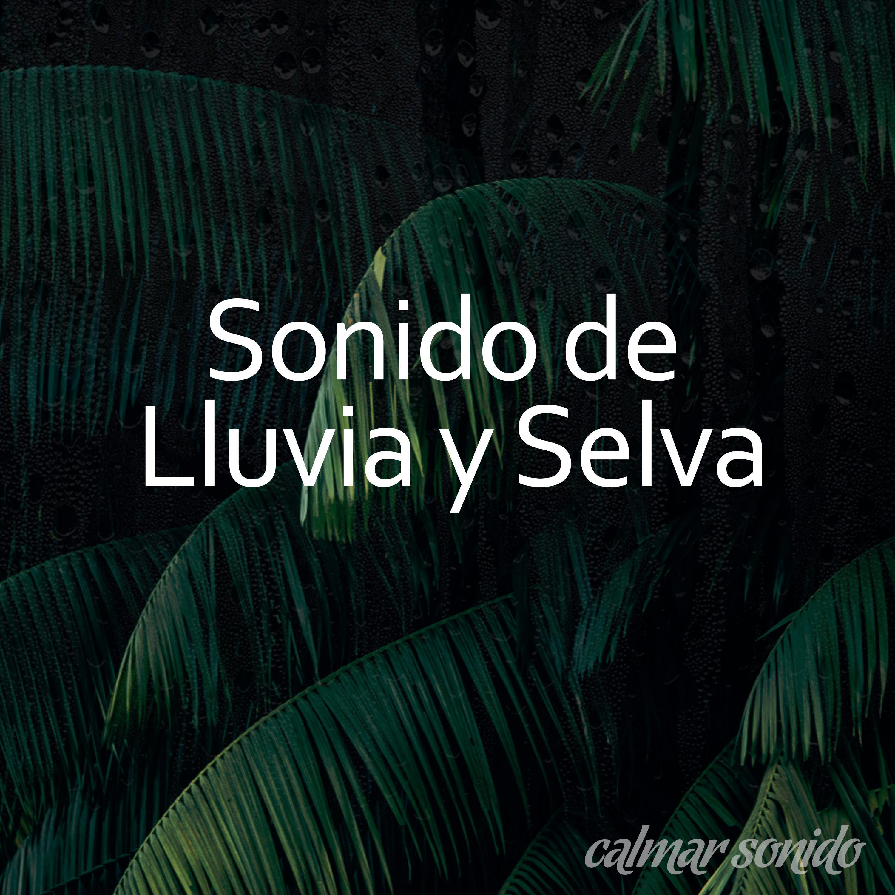 Selva Tropical Sonido, Pt. 04