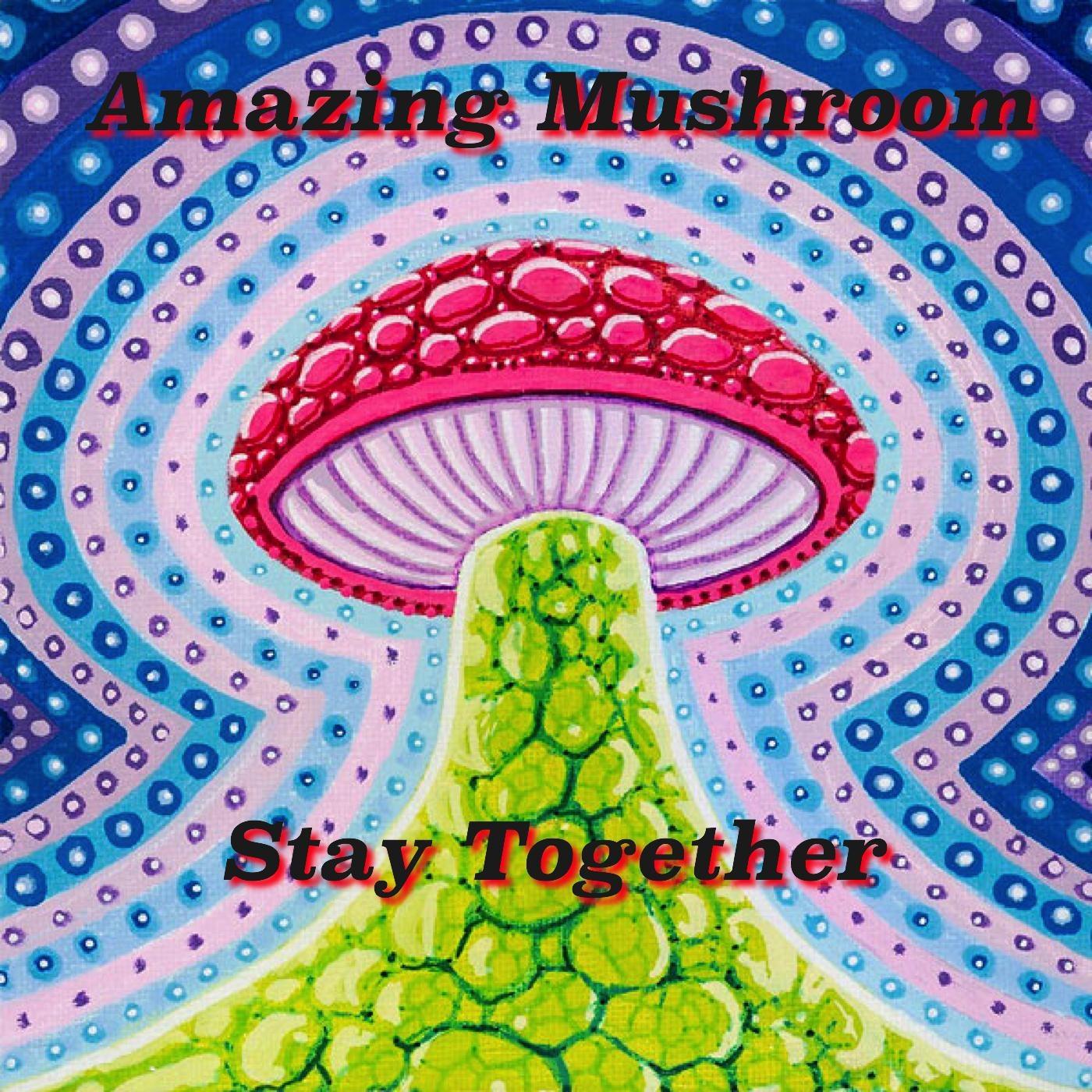 Stay Together