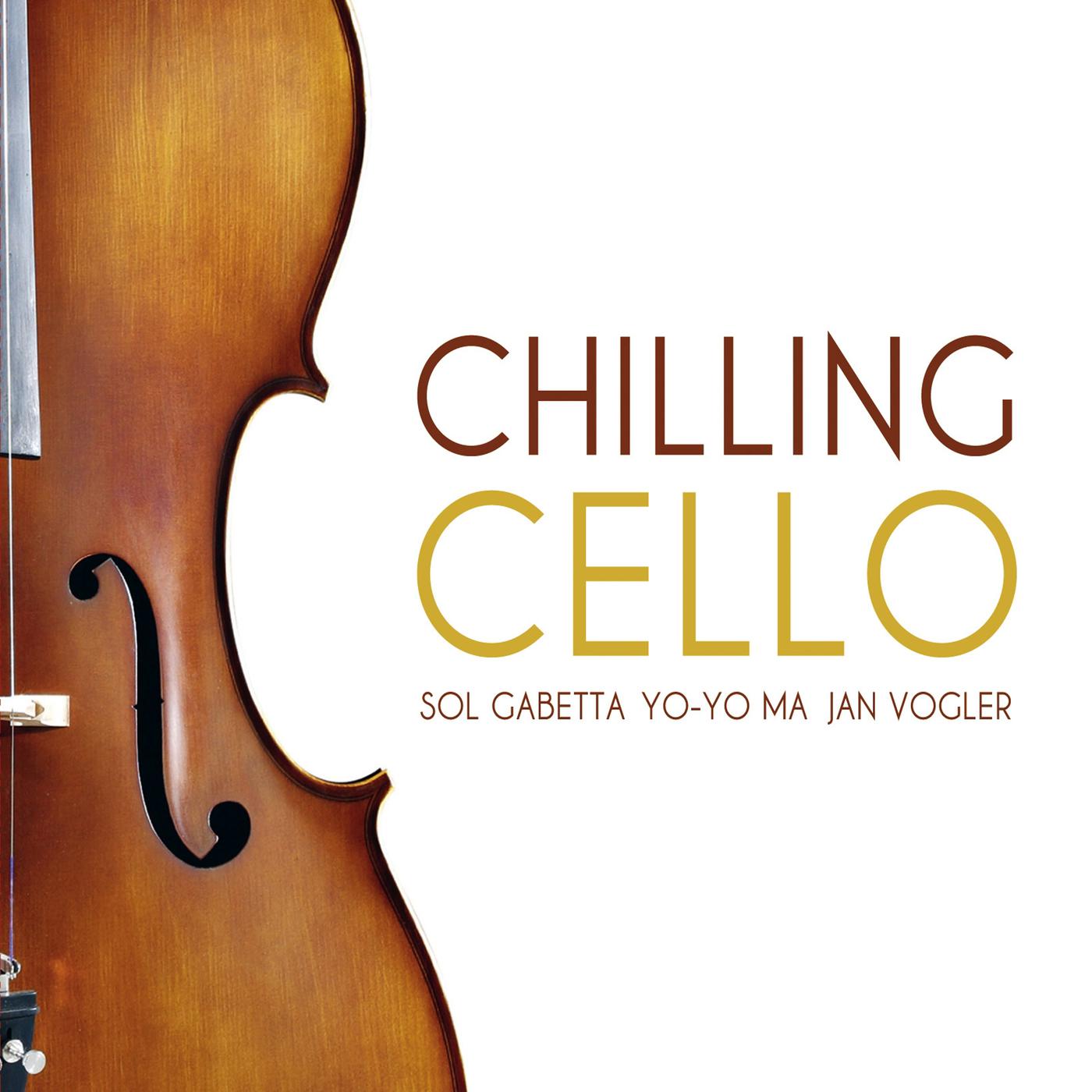 Cello Concerto in E Minor, RV 409: I. Largo