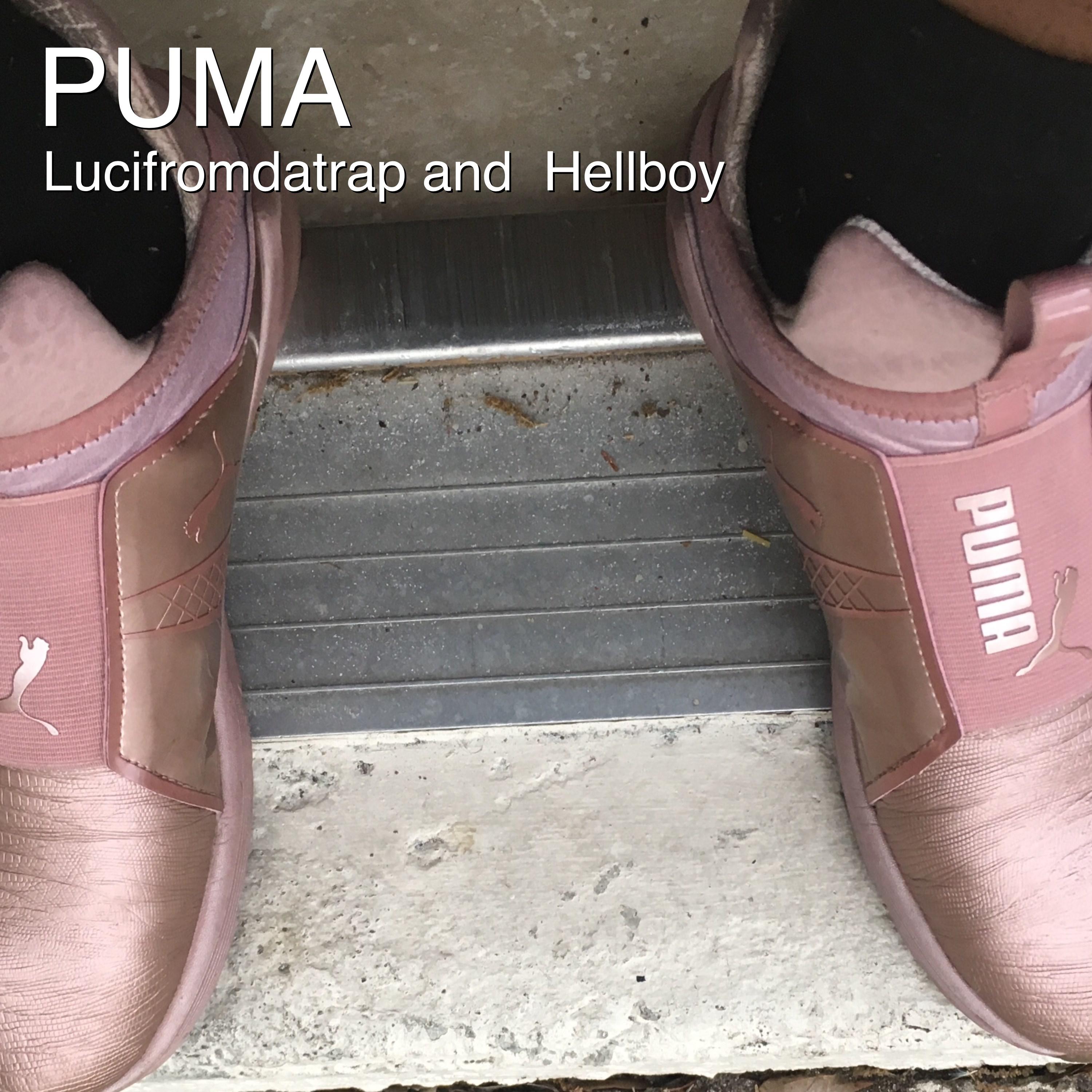 Puma