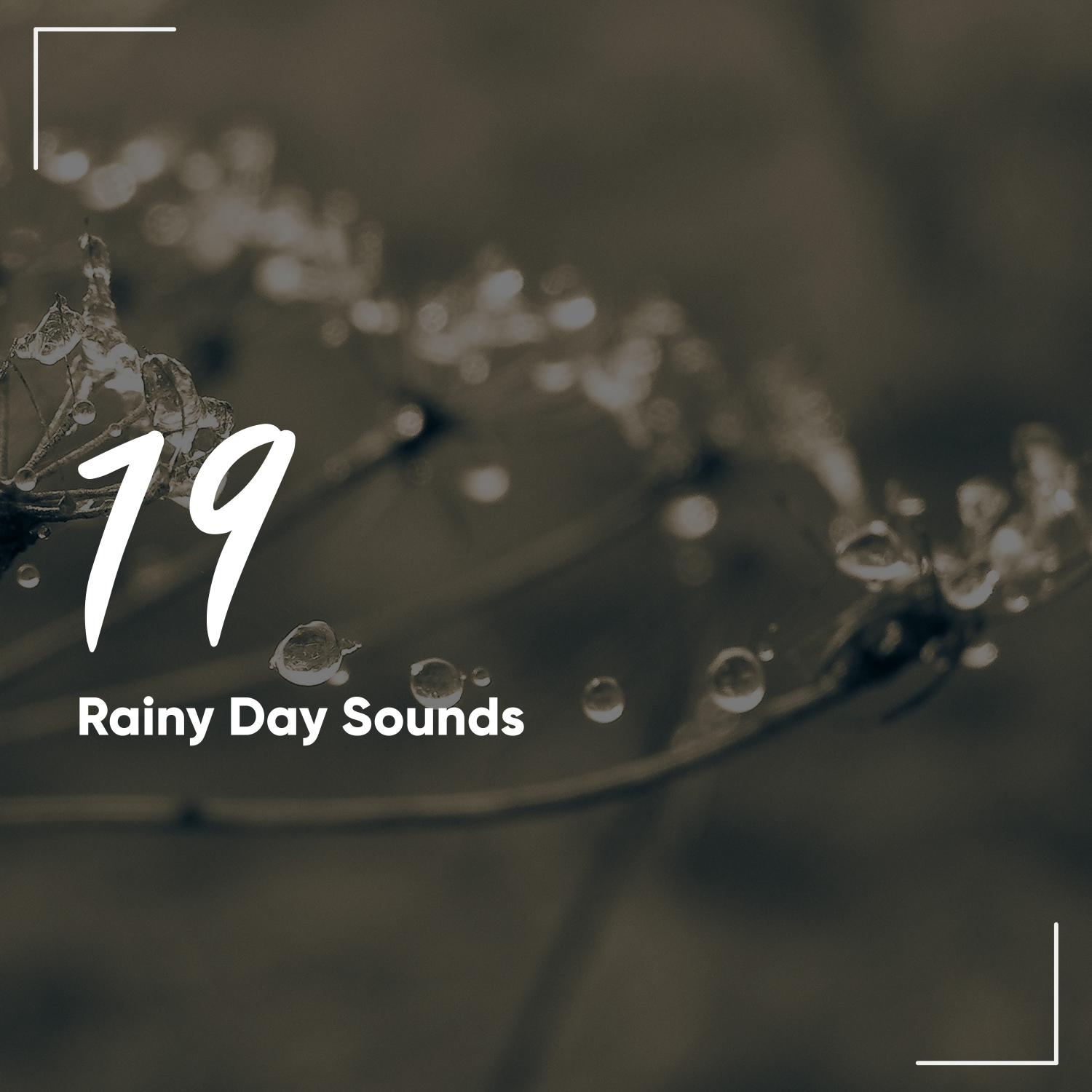 19 Rainy Day Sounds White Noise and Static Rain Sounds