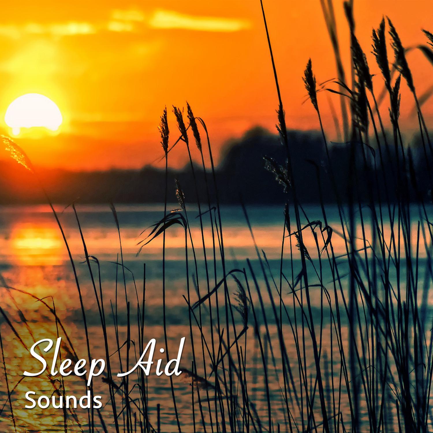 10 White Noise and Natural Rain Sounds: Sleep Aid, Tinnitus Blocker, Baby Sleep Aid, Insomia Cure, Deep Sleep, Relaxation, Calm
