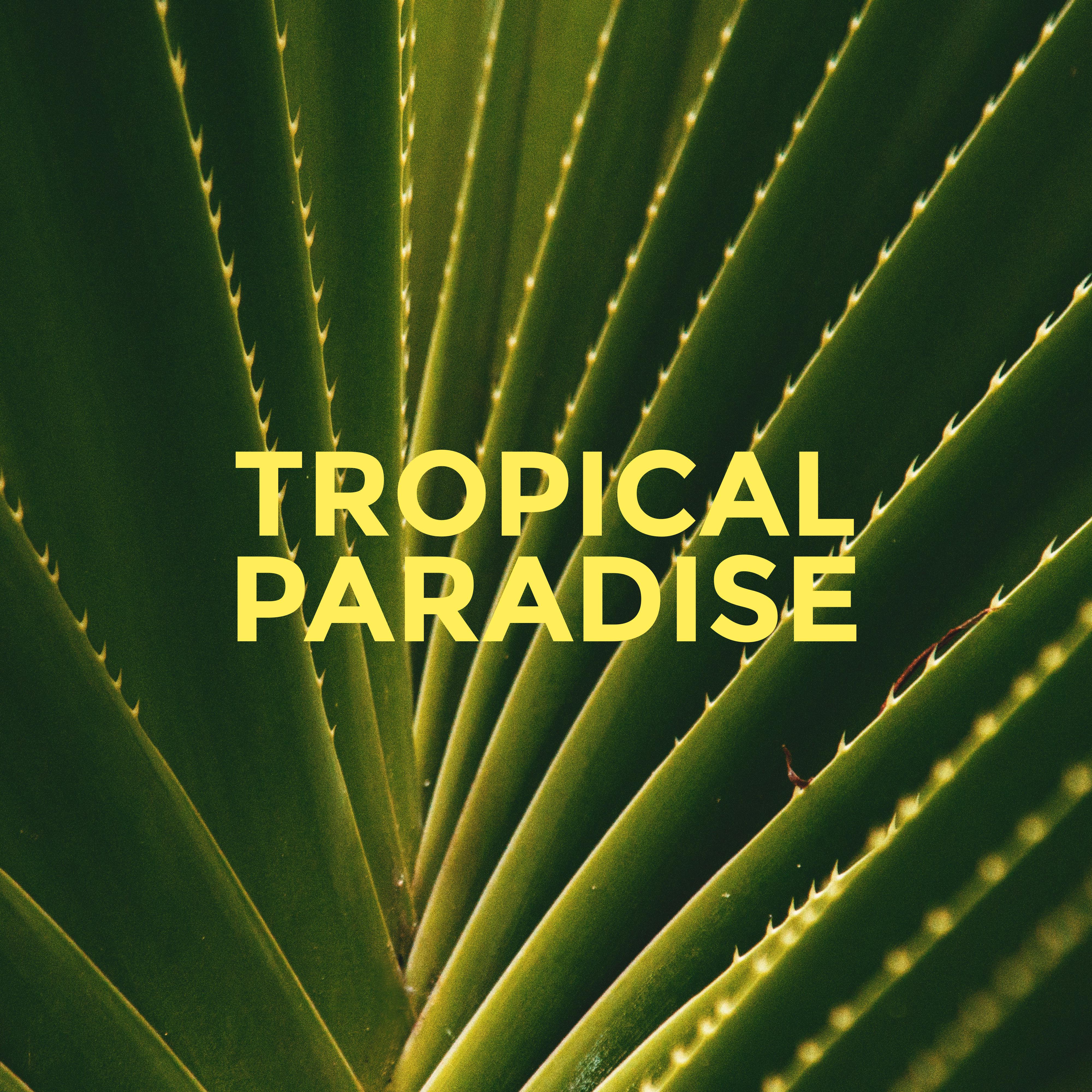 Tropical Paradise  Summer Music 2019, Fresh Relaxing Chill, Lounge Music, Peaceful Chillout Melodies, Deep Vibes, Beach Music