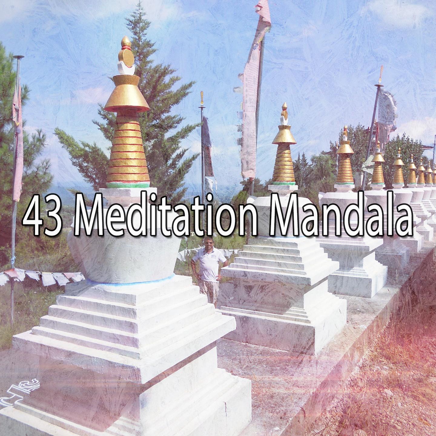 43 Meditation Mandala