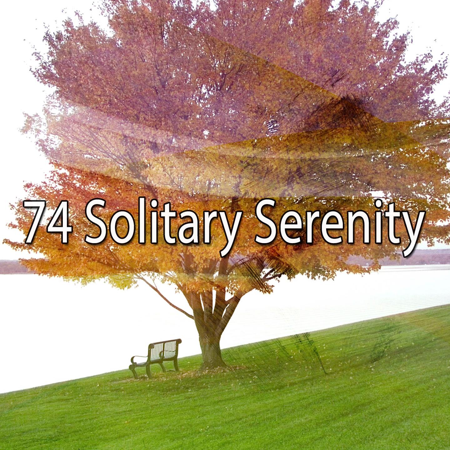 74 Solitary Serenity
