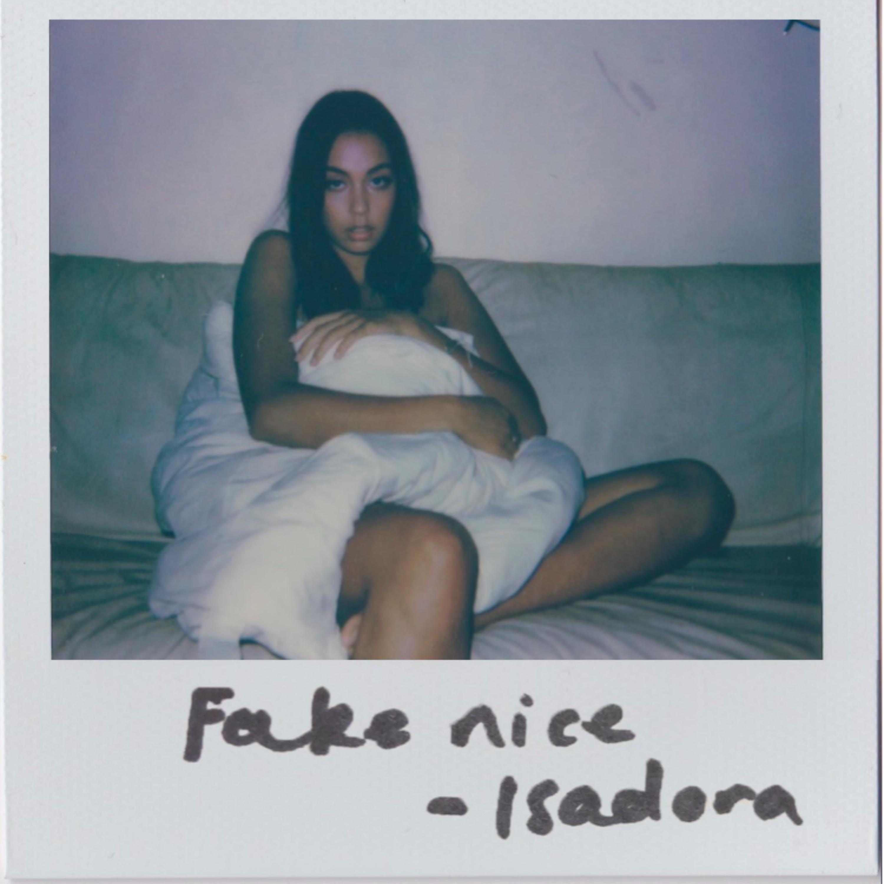 Fake Nice