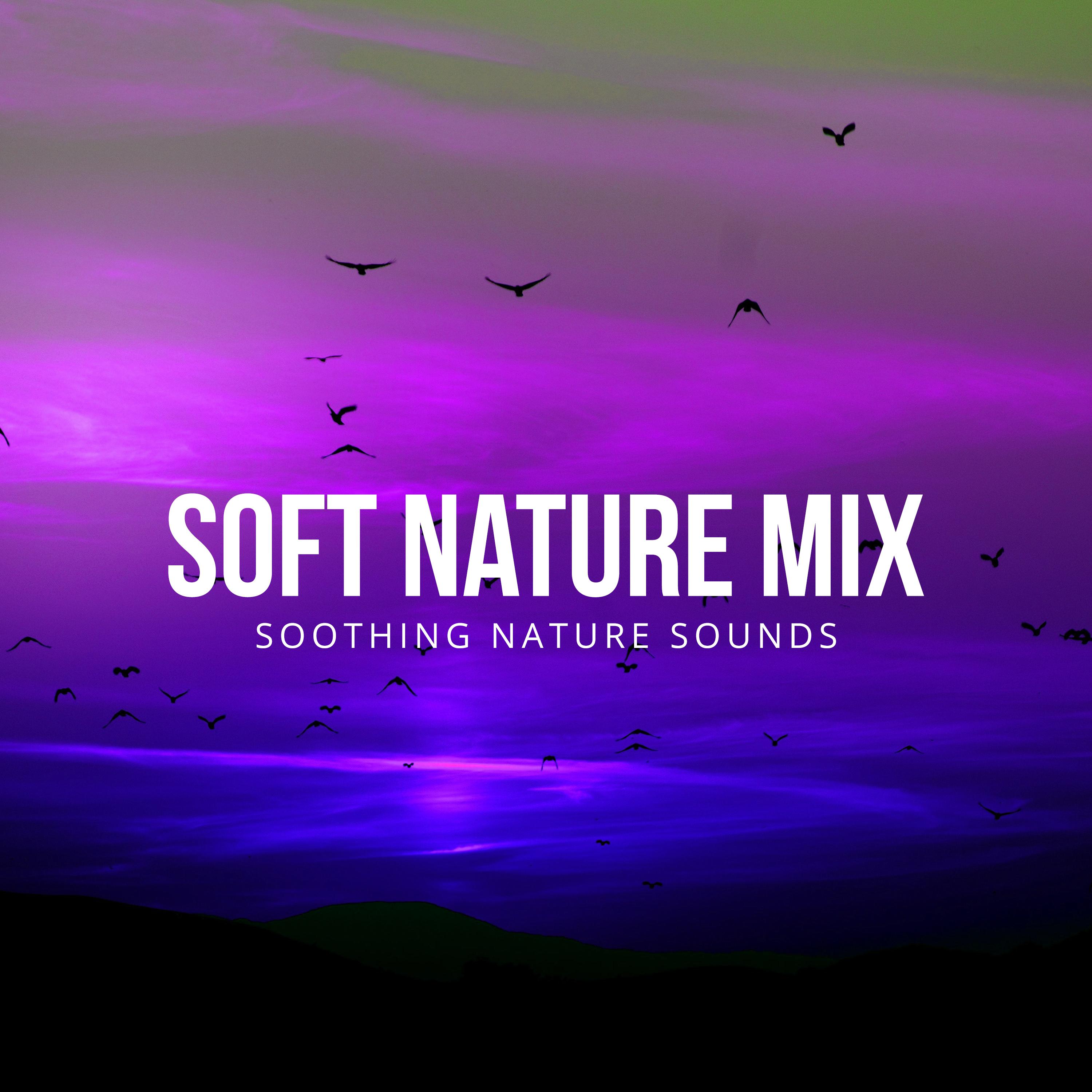Soft Nature Mix