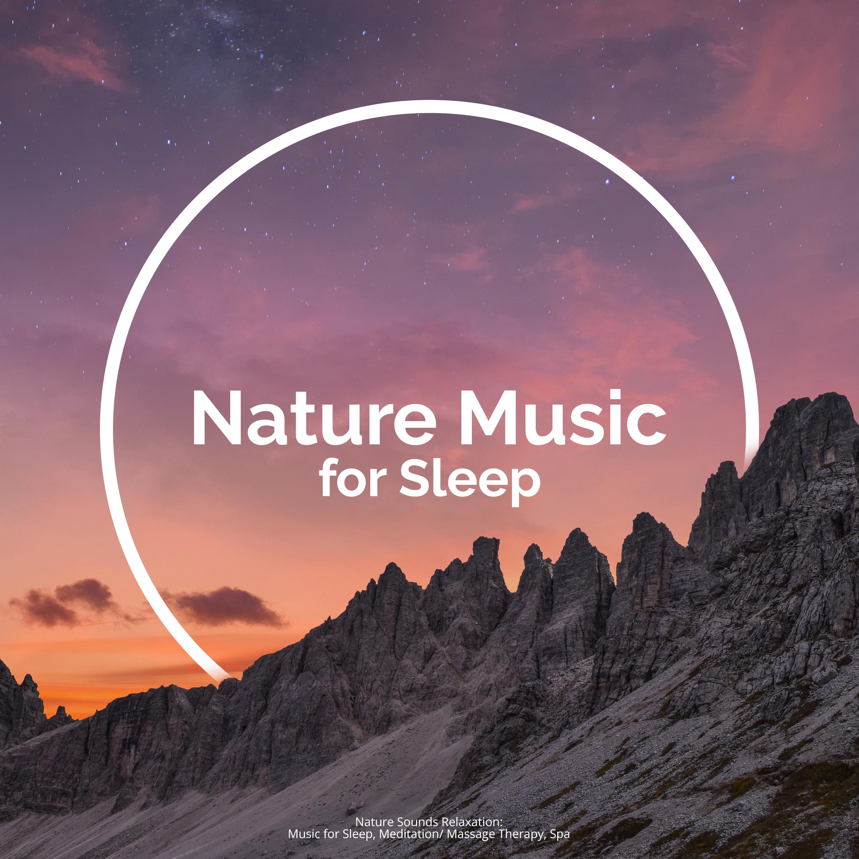 Nature Music for Sleep