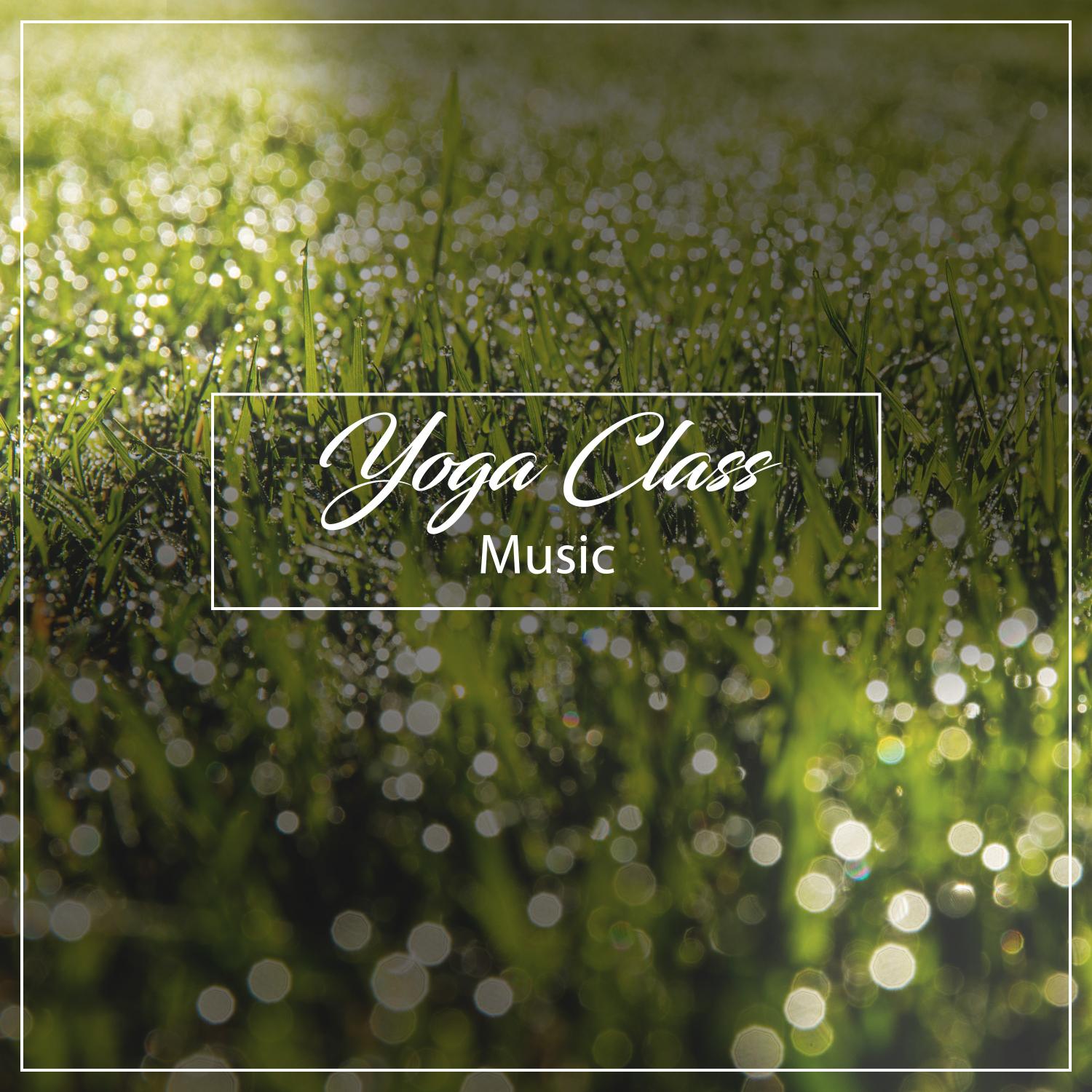 14 Yoga Sounds from Nature Perfect for Classes