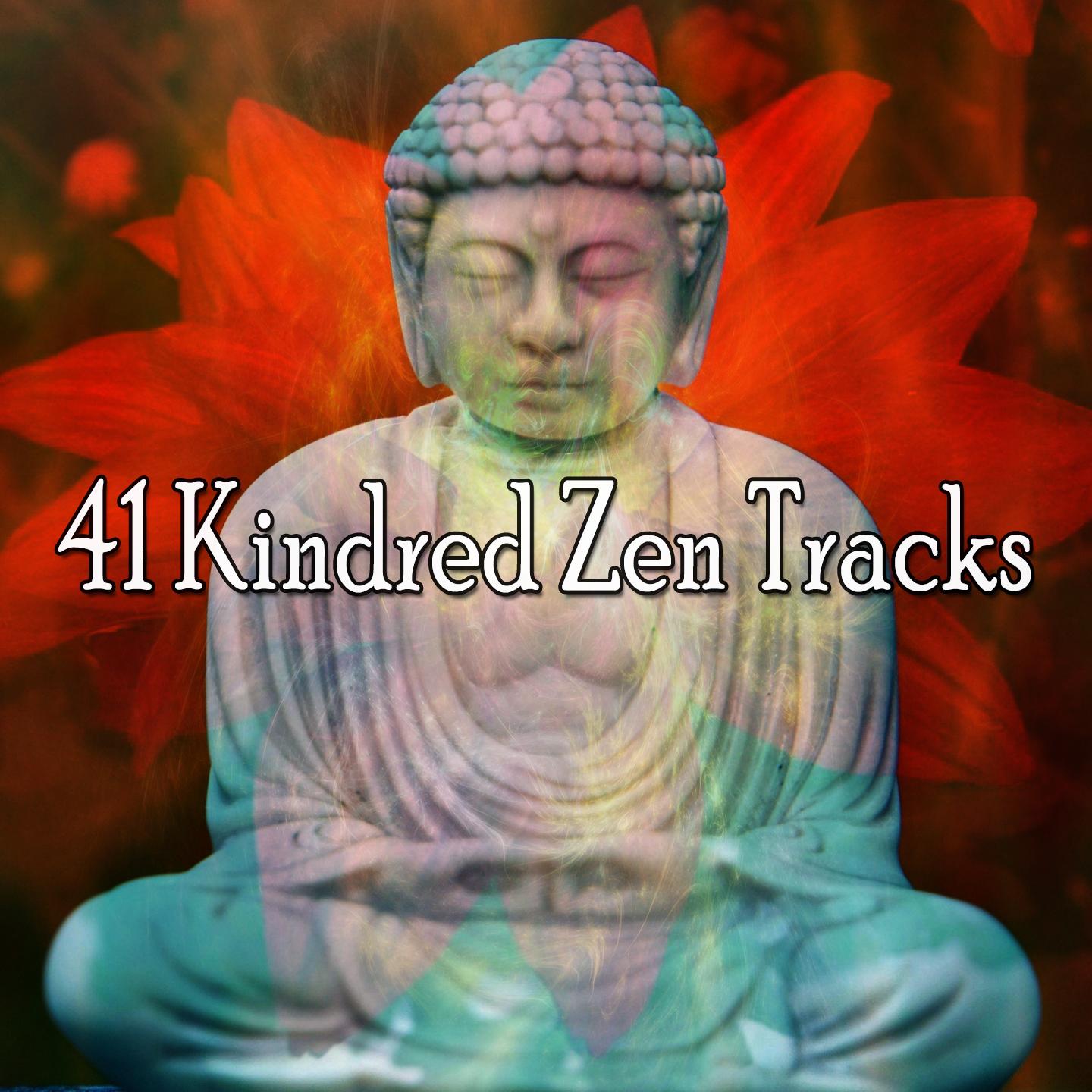 41 Kindred Zen Tracks