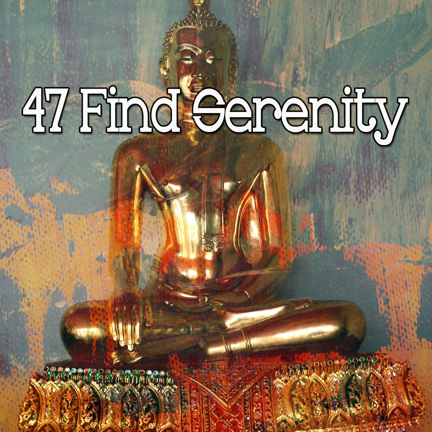 47 Find Serenity