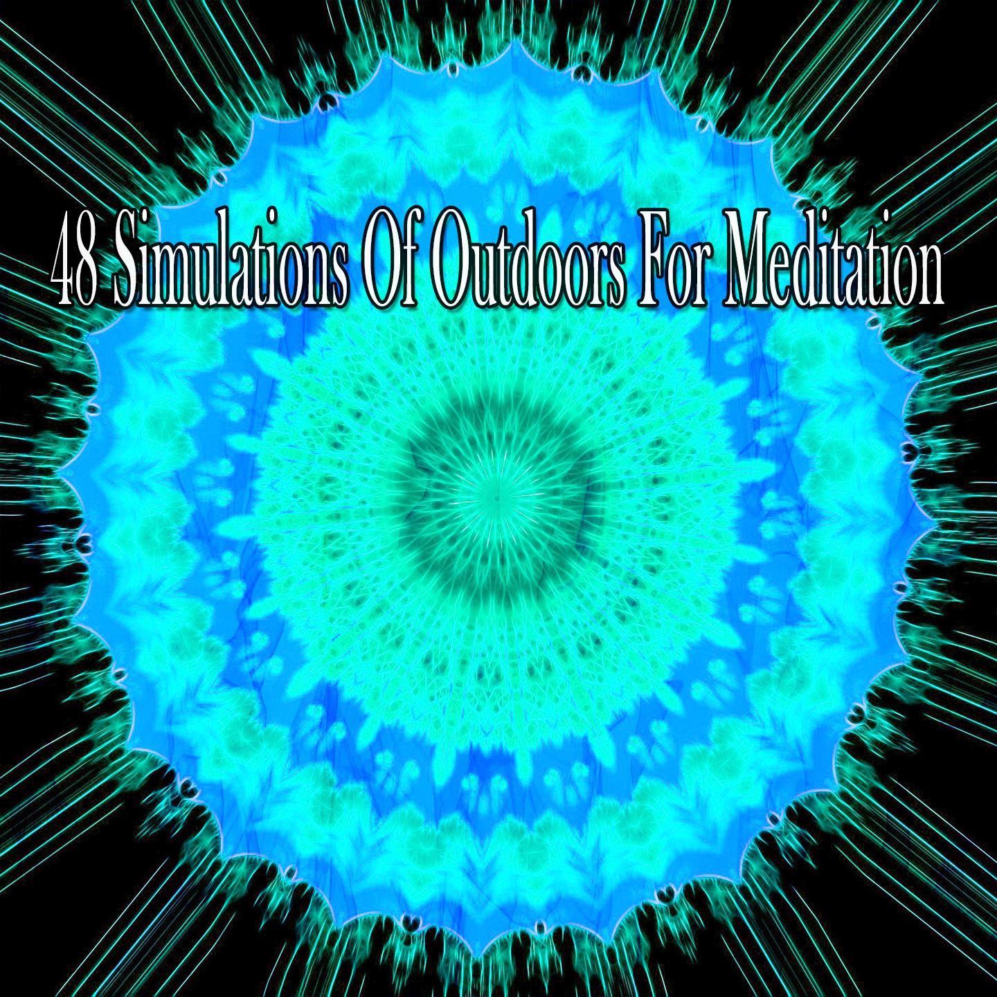 48 Simulations of Outdoors for Meditation