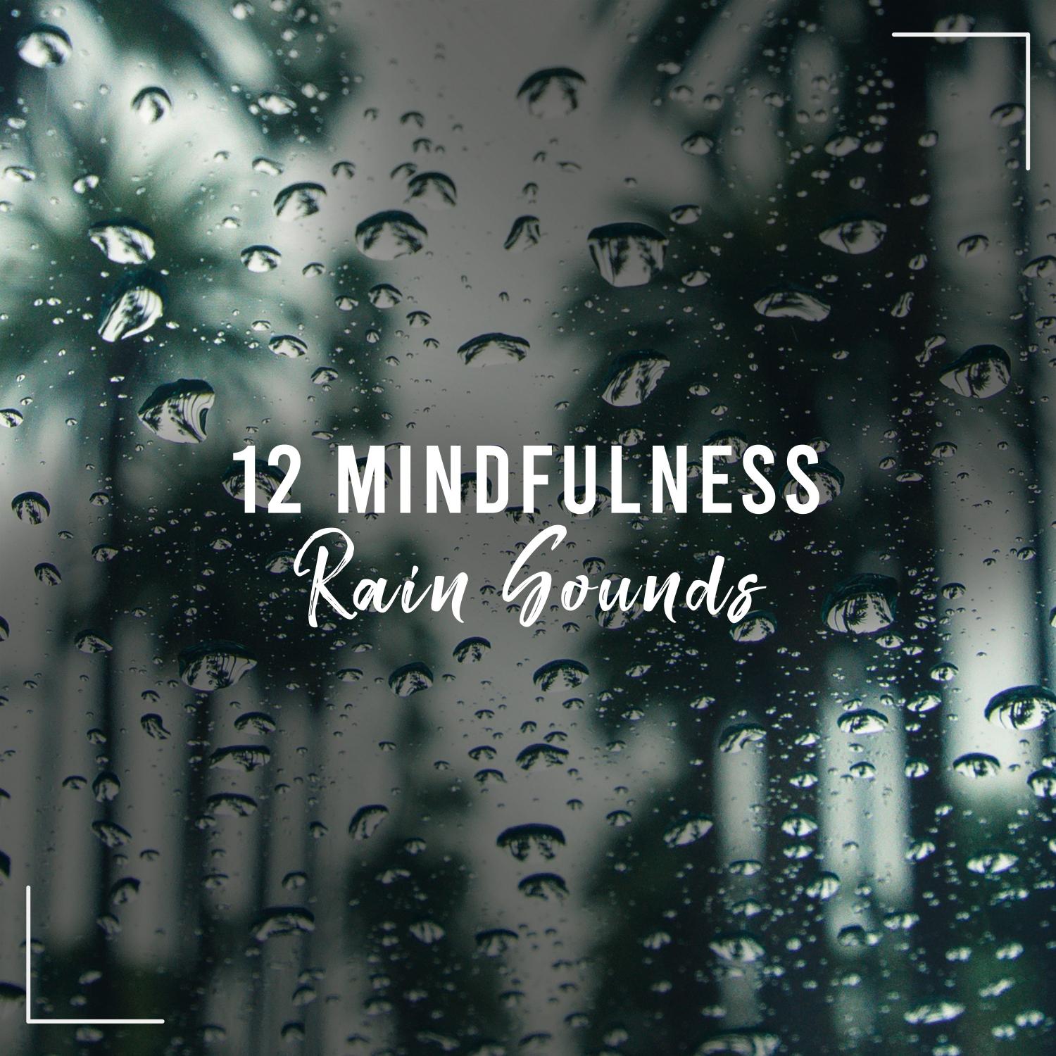 12 White Noise & Mindfulness Rain Sounds