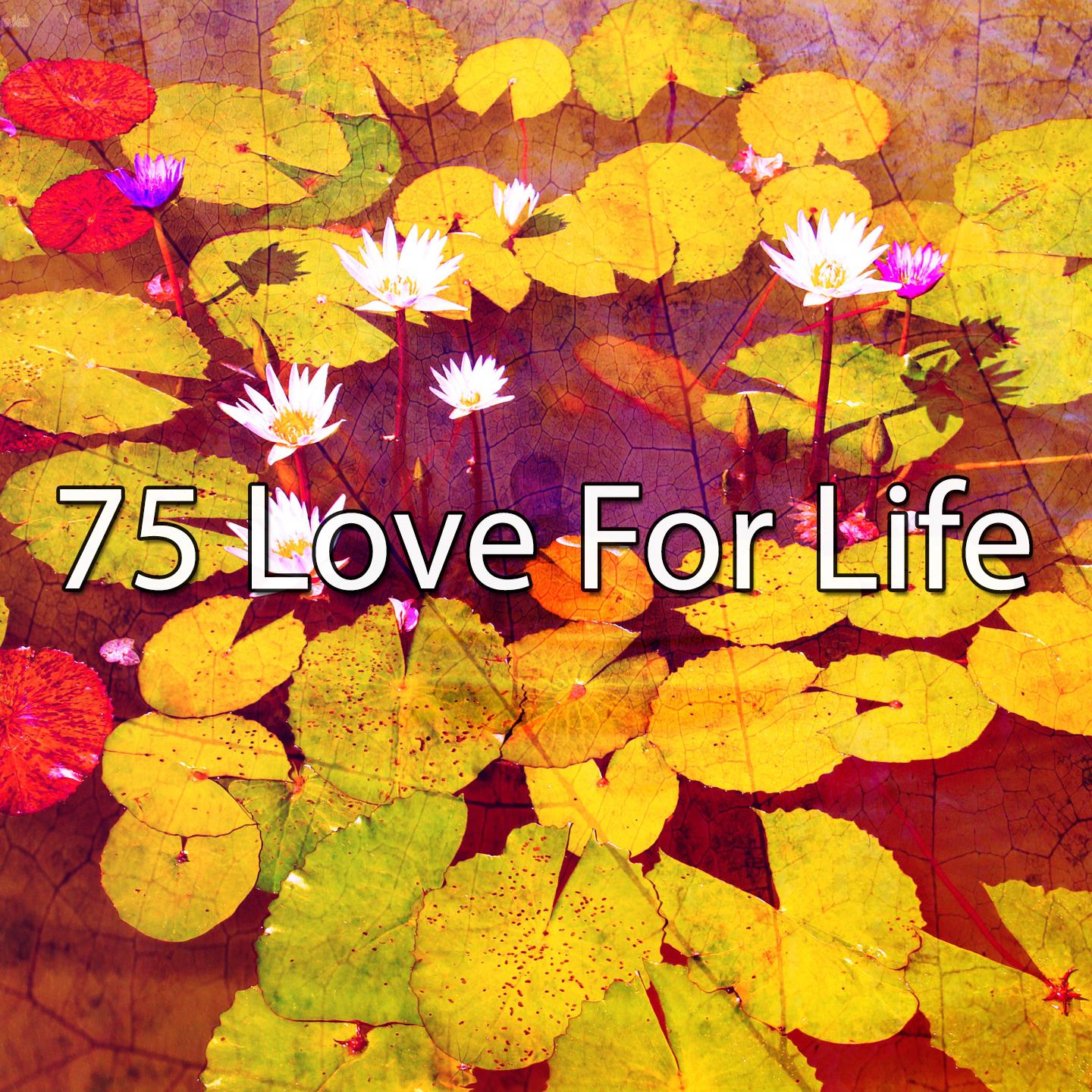 75 Love for Life