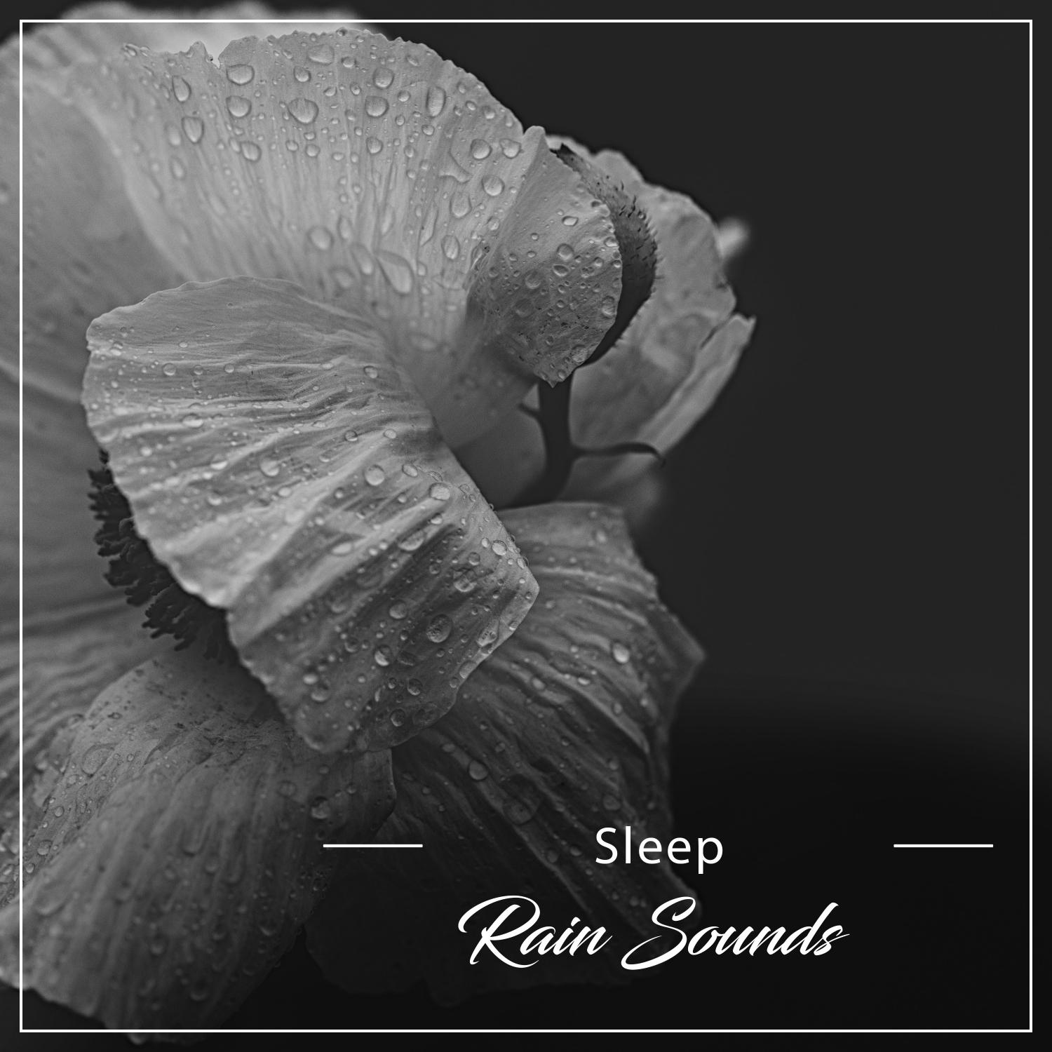 19 Sleep Rain Sounds - Cure Insomnia, Natural Sleep, Deep Sleep, Wake Refreshed