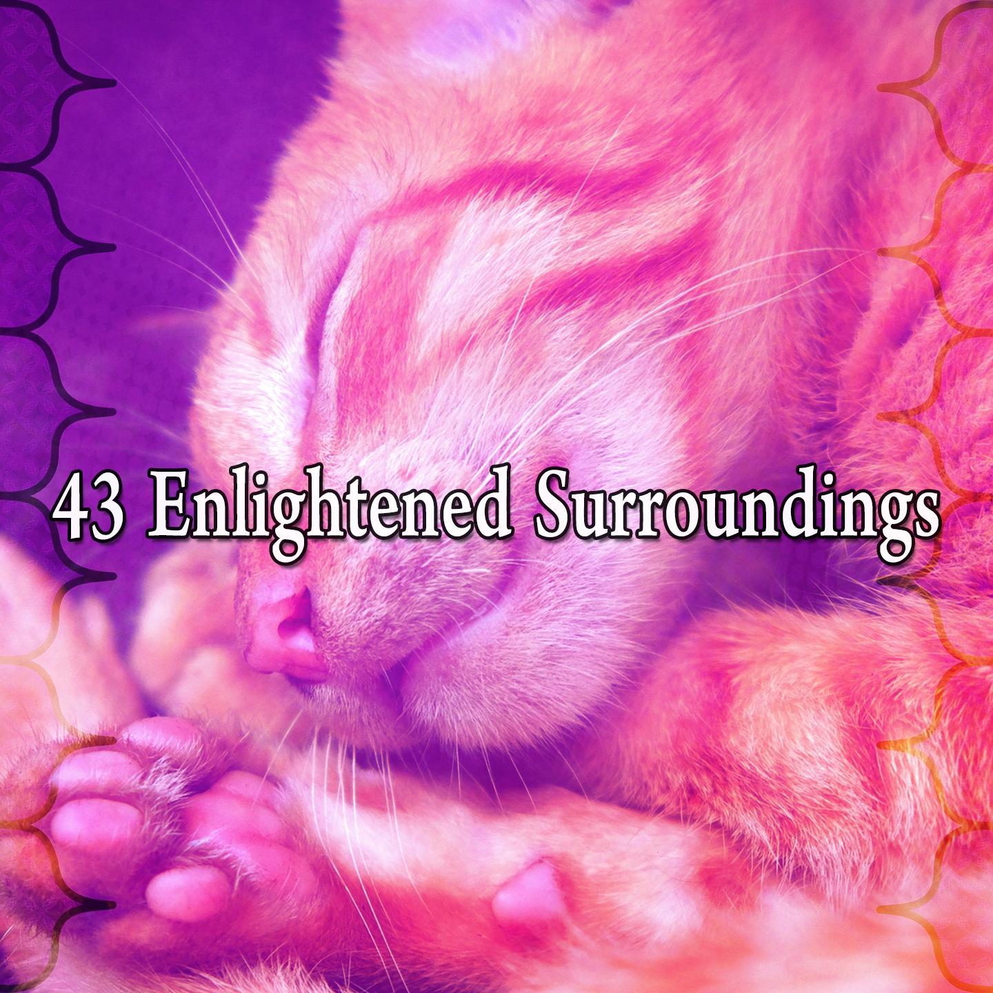 43 Enlightened Surroundings