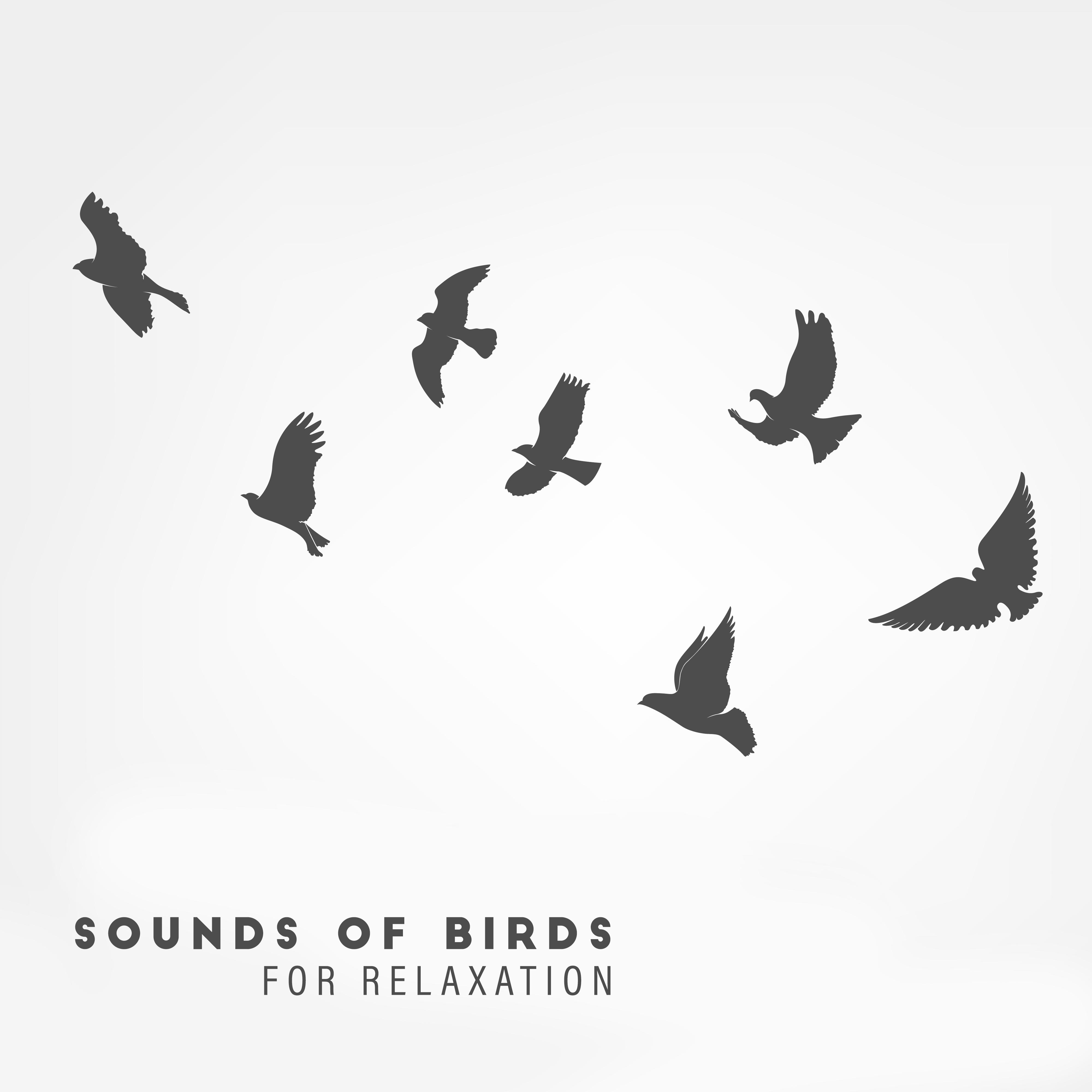 Sounds of Birds for Relaxation  Zen Lounge, Nature Sounds to Calm Down, Reduce Stress, Healing Music for Rest, Sleep, Meditation Music Zone