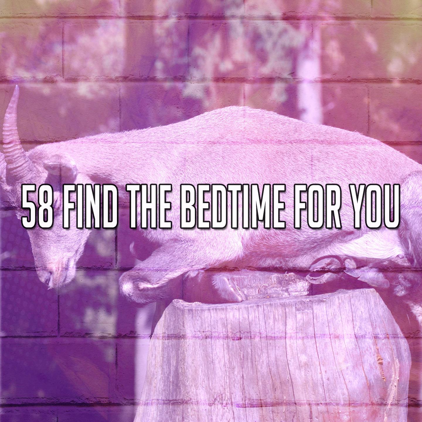 58 Find the Bedtime for You