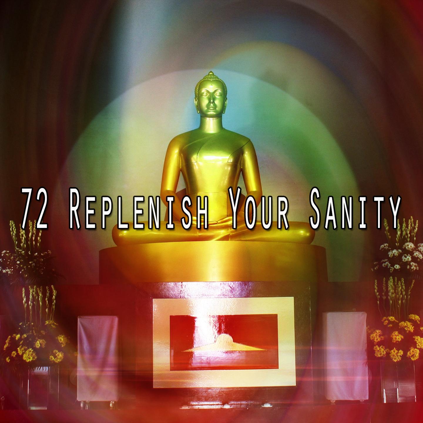 72 Replenish Your Sanity