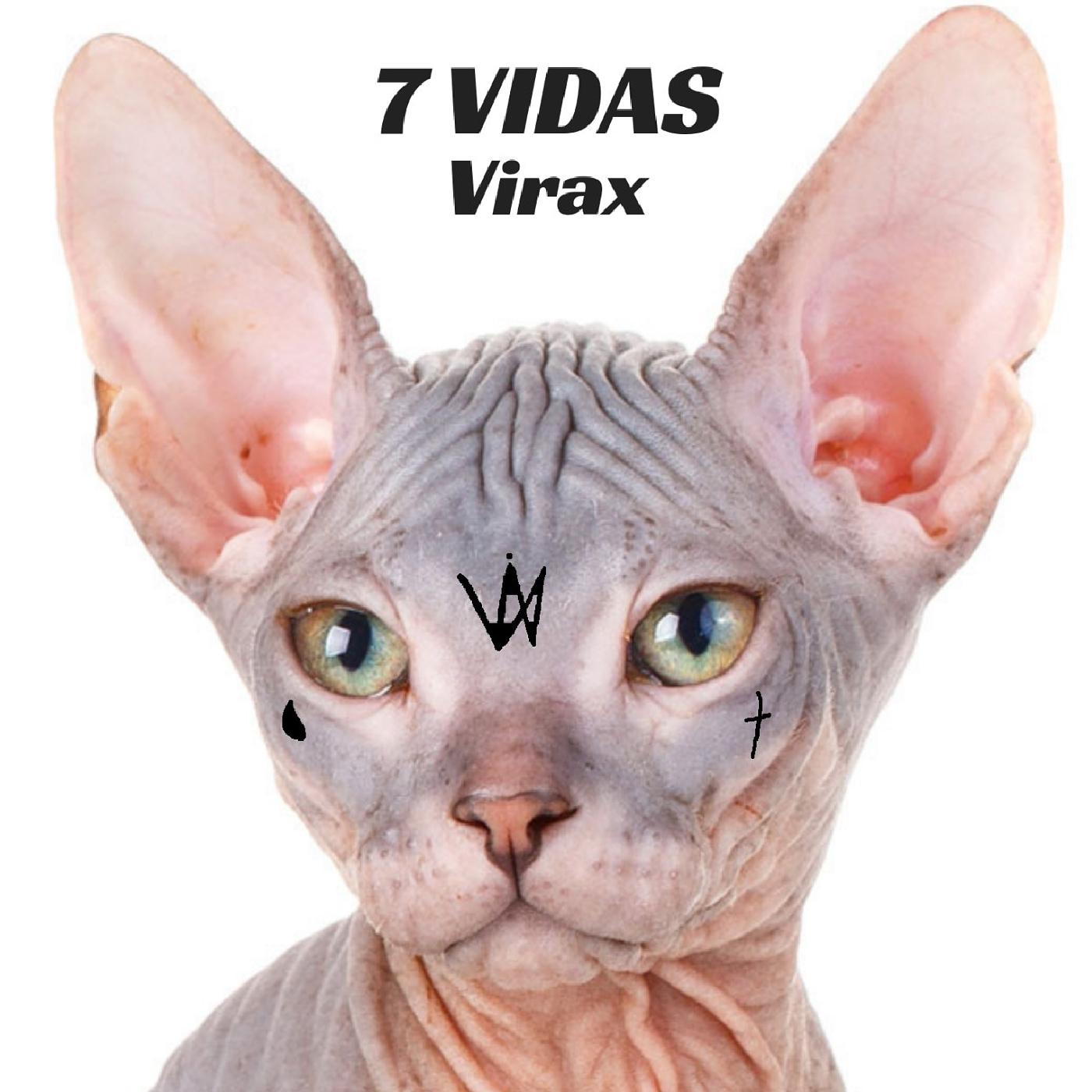 7 Vidas