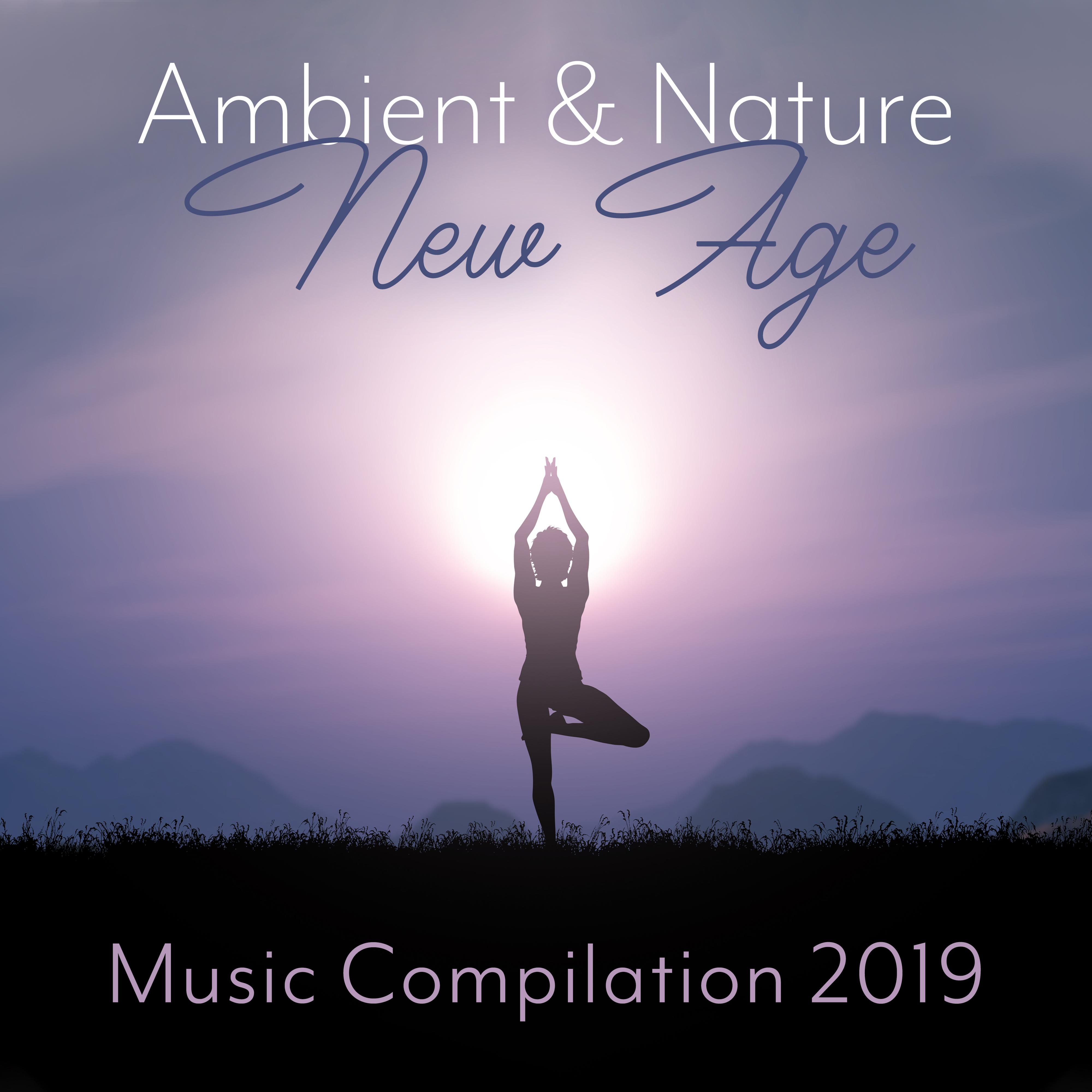 Ambient & Nature New Age Music Compilation 2019