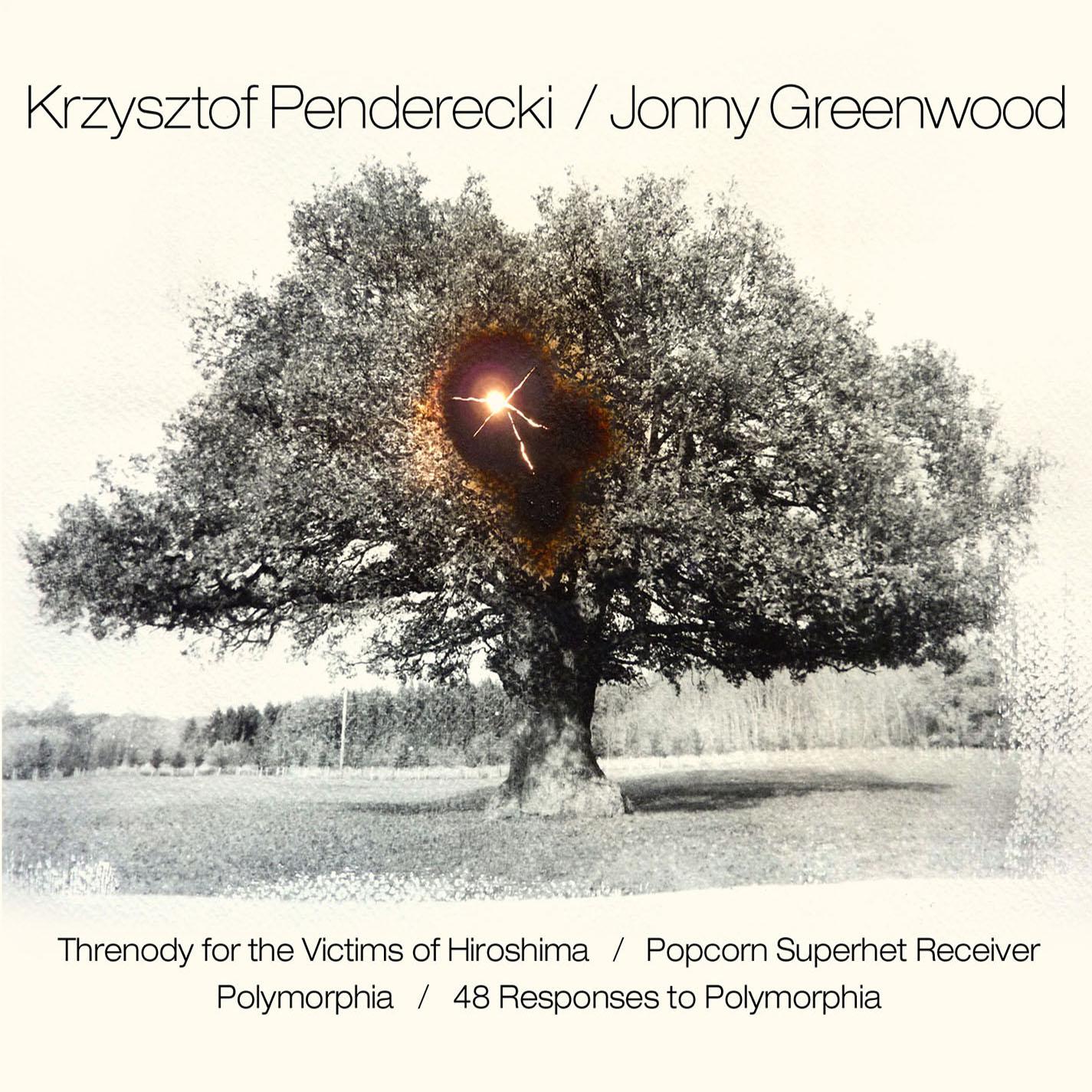 48 Responses to Polymorphia: Pacay Tree