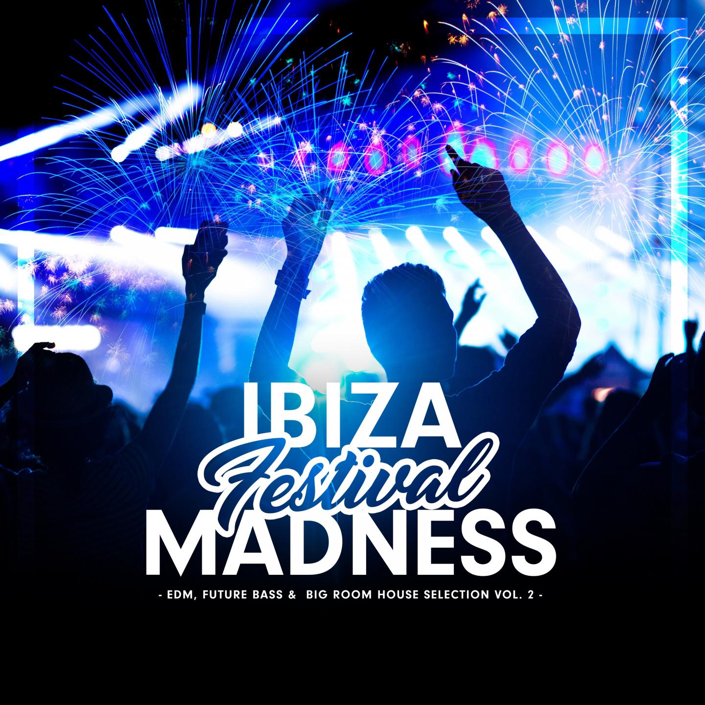 Ibiza Festival Madness, Vol. 2