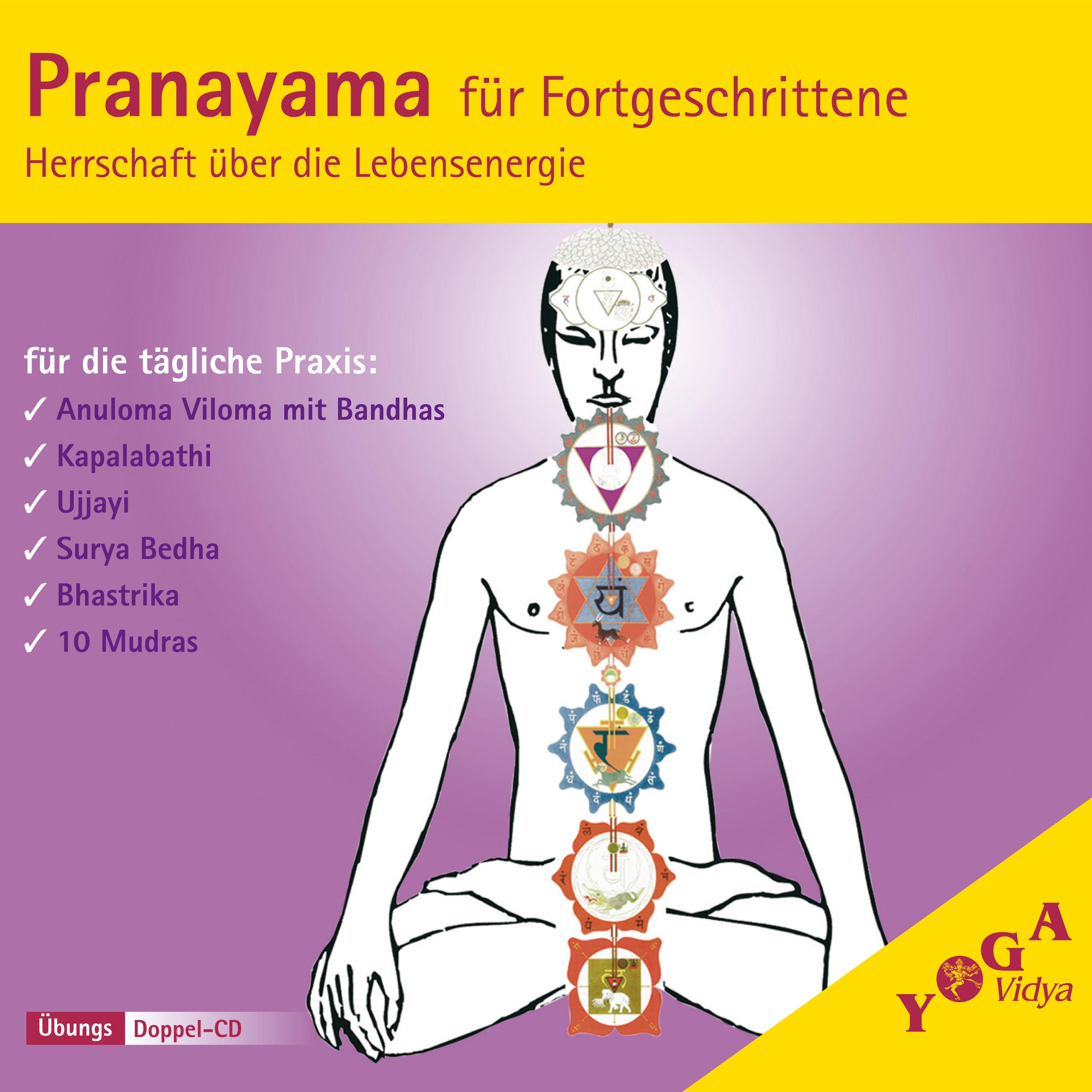 Pranayama fü r Fortgeschrittene Herrschaft ü ber die Lebensenergie