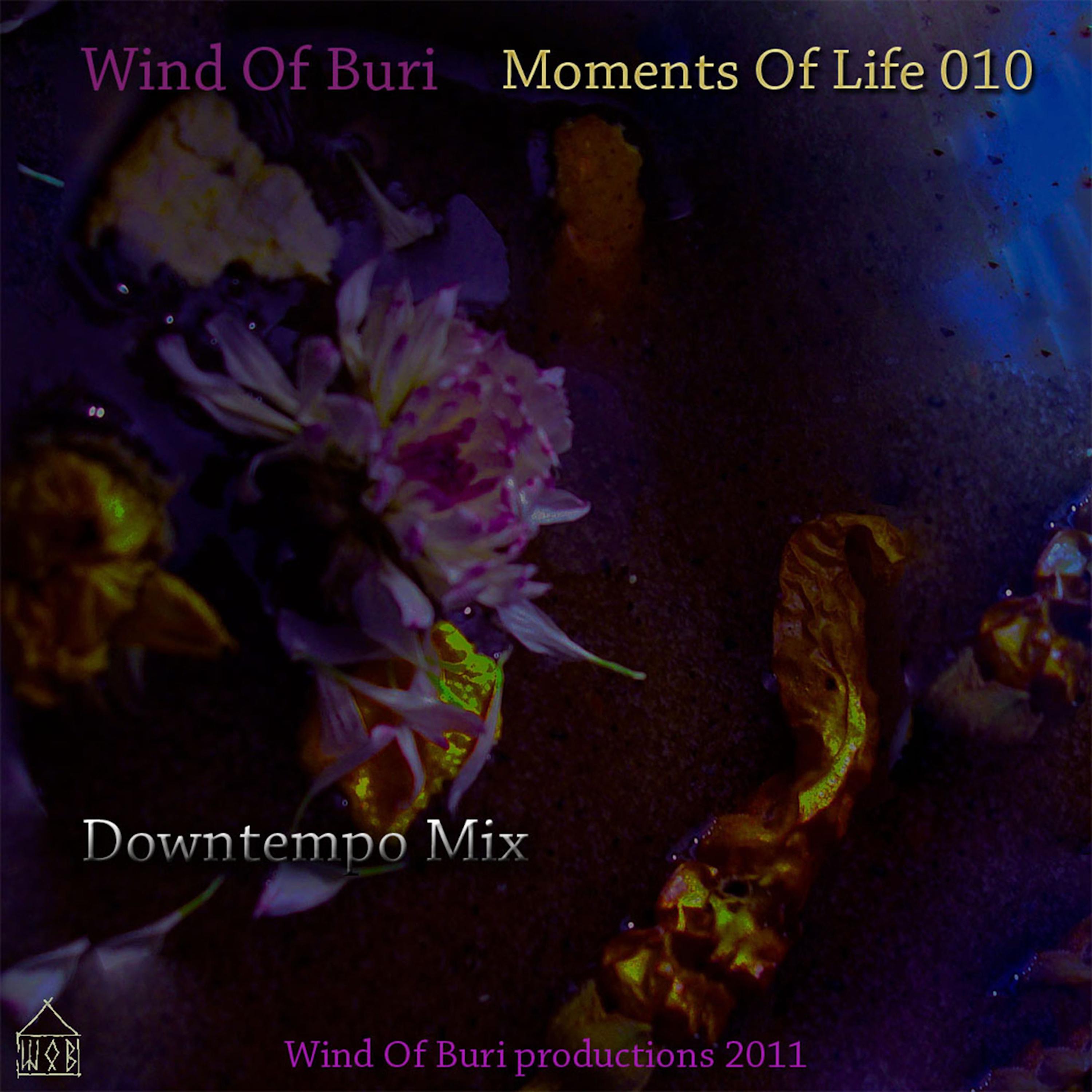 Moments Of Life Vol. 10 (Downtempo Mix)