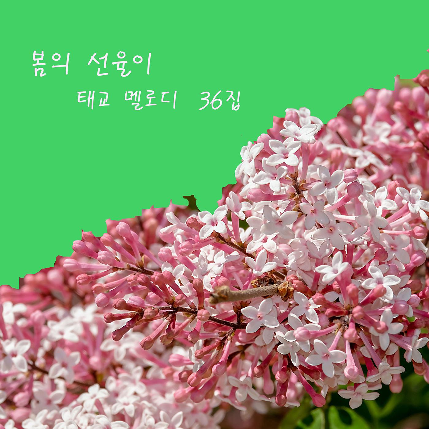 , , , , , ,