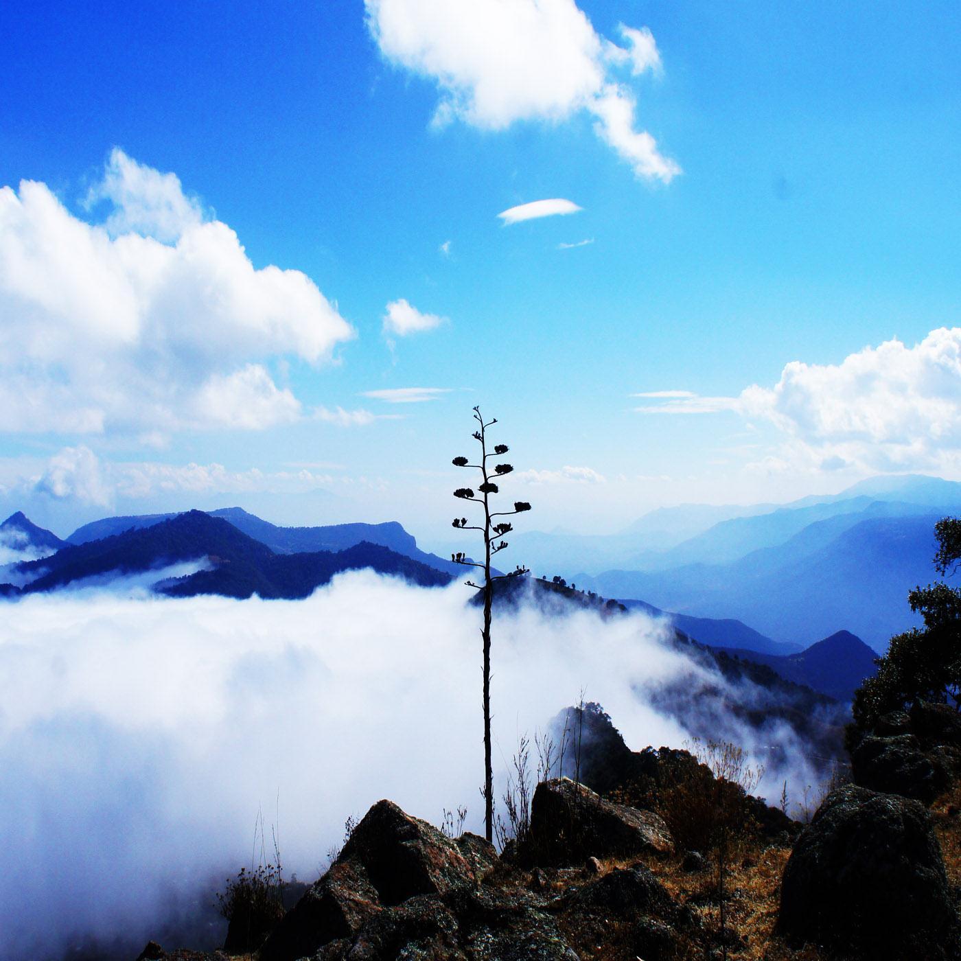 Mantras of the Mountain Shepherd