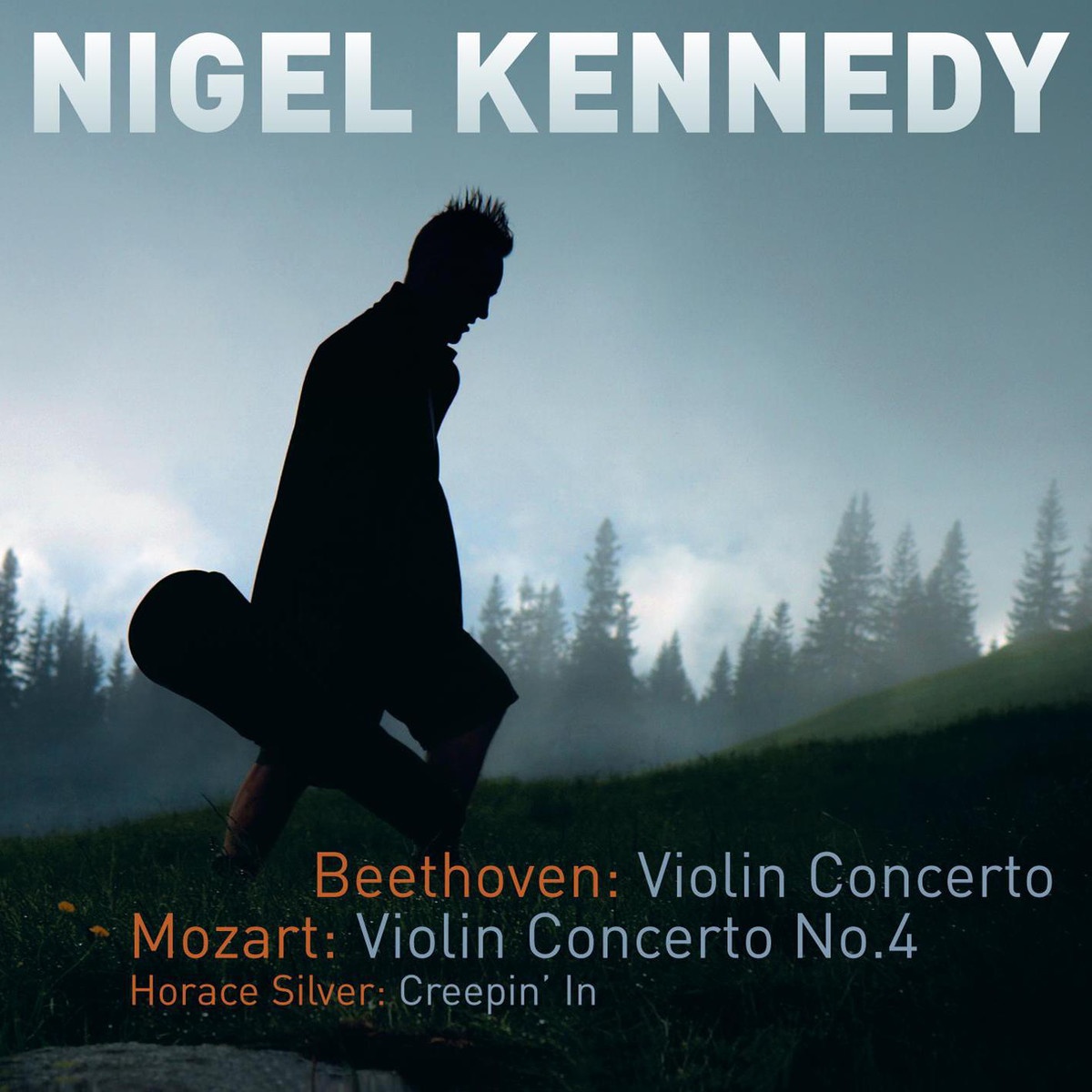 Violin Concerto in D Major op 61: Allegro non troppo (Cadenza by Kreisler)