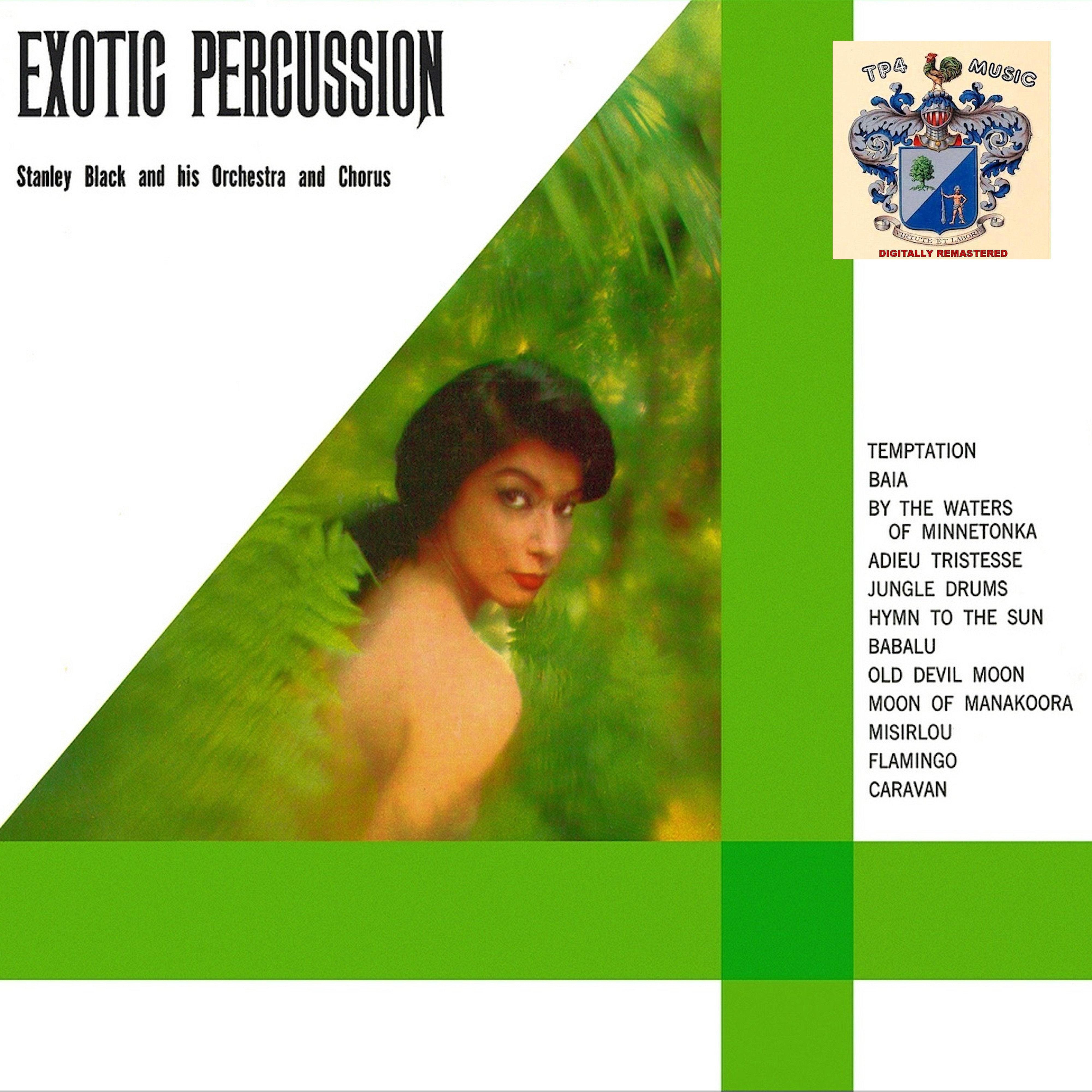 Exotic Percussion
