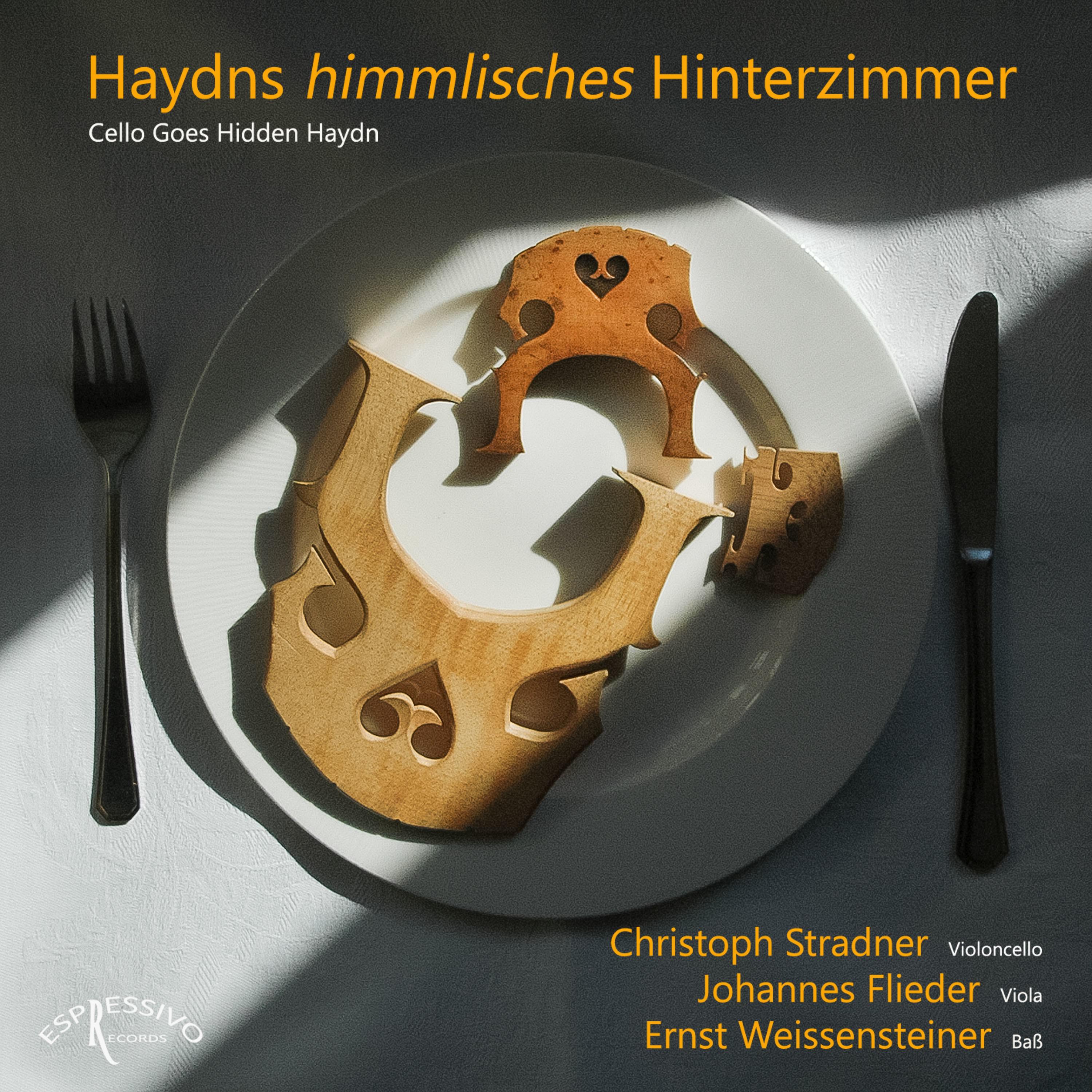 Haydns Himmlisches Hinterzimmer