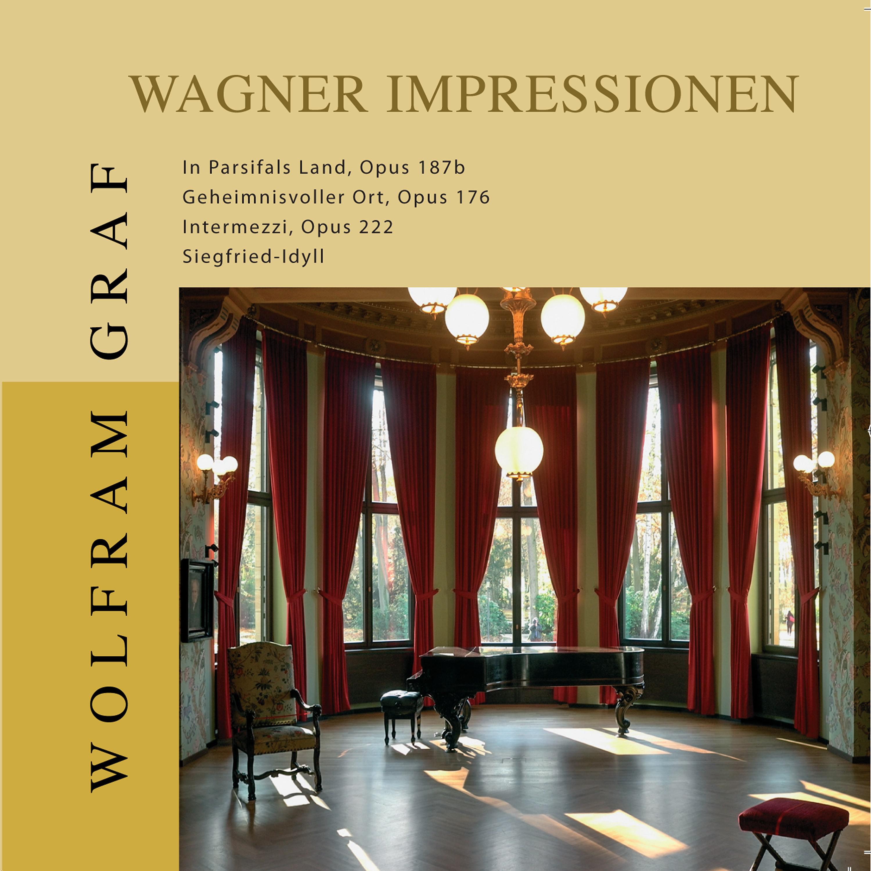 Wolfram Graf: Wagner Impressionen